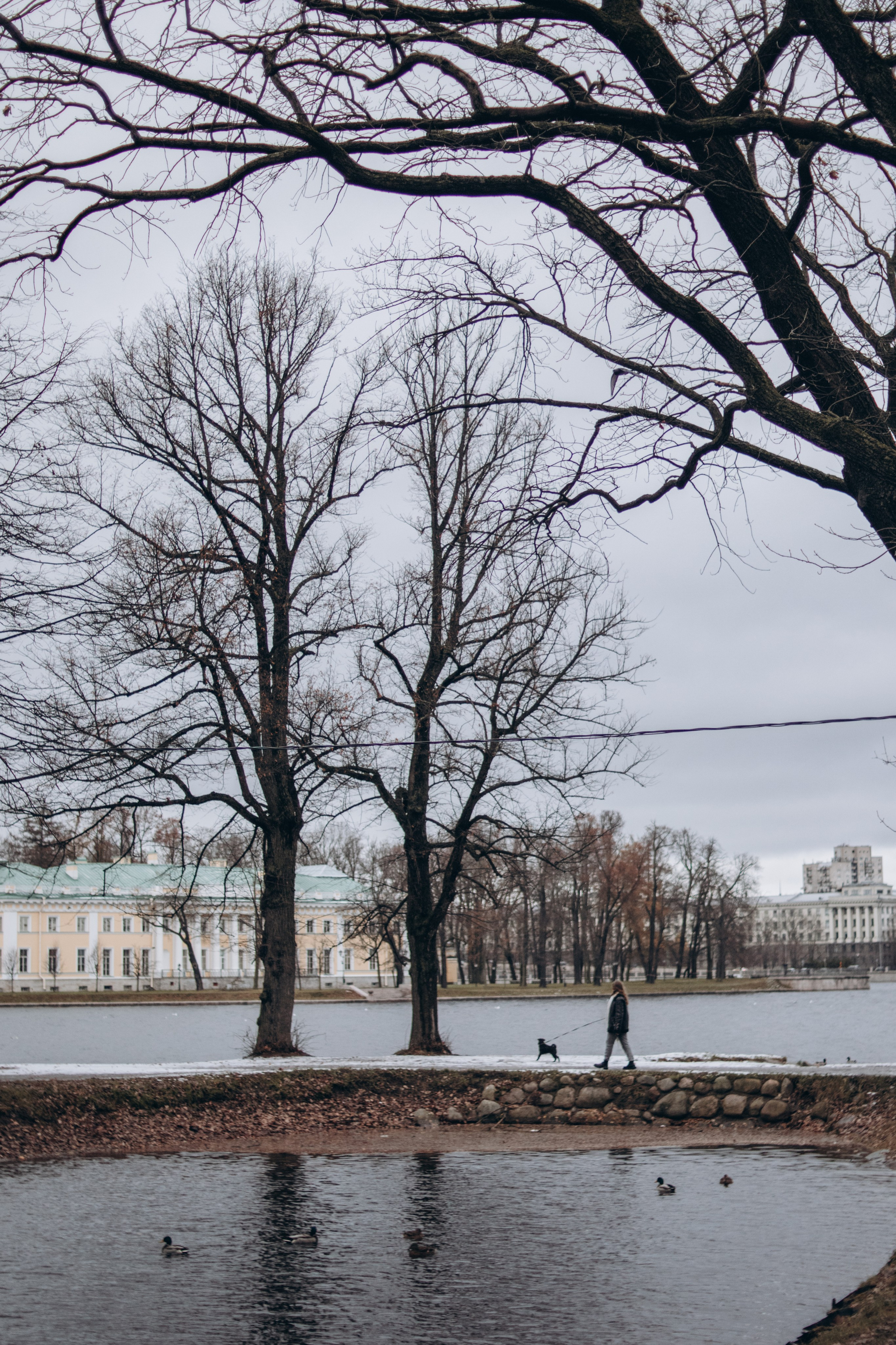Фотограф-анималист в Санкт-Петербурге