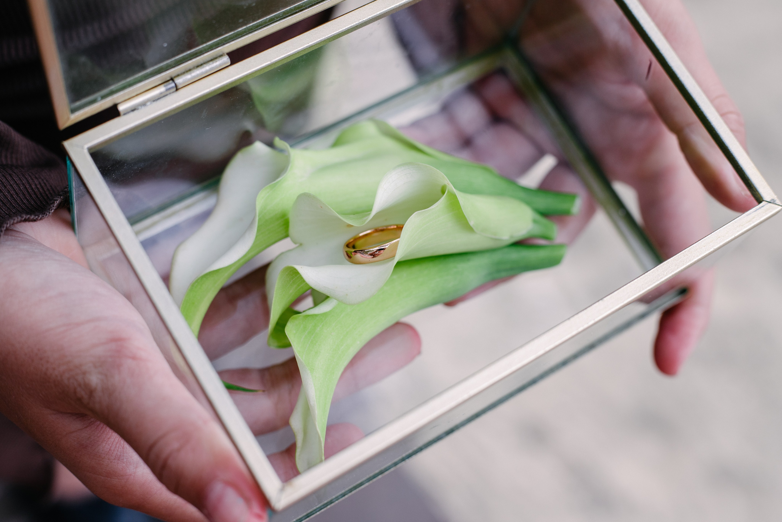 25WED V&D. Свадебный фотограф Тулинова Мария