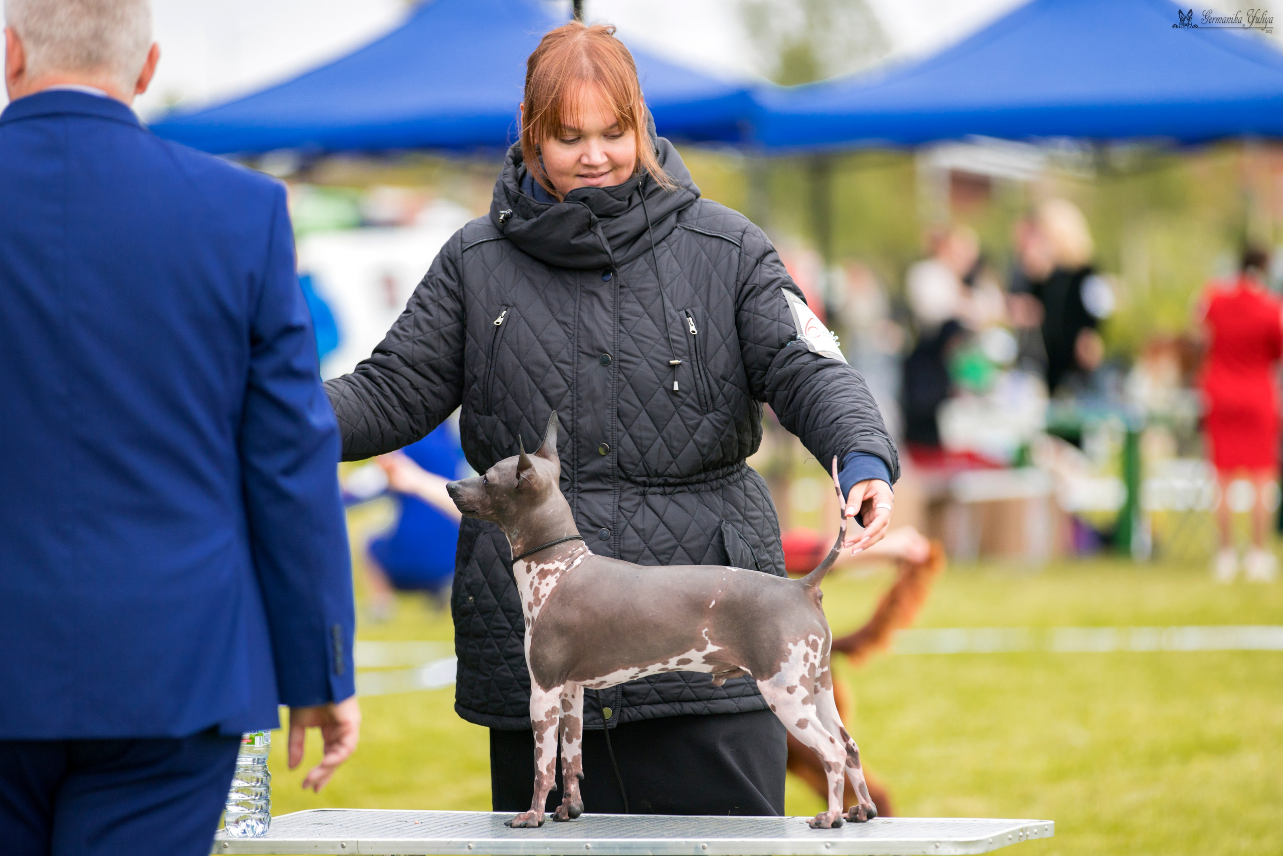 Переславль 9-10.09.2023. Фотограф-анималист Юлия Германика