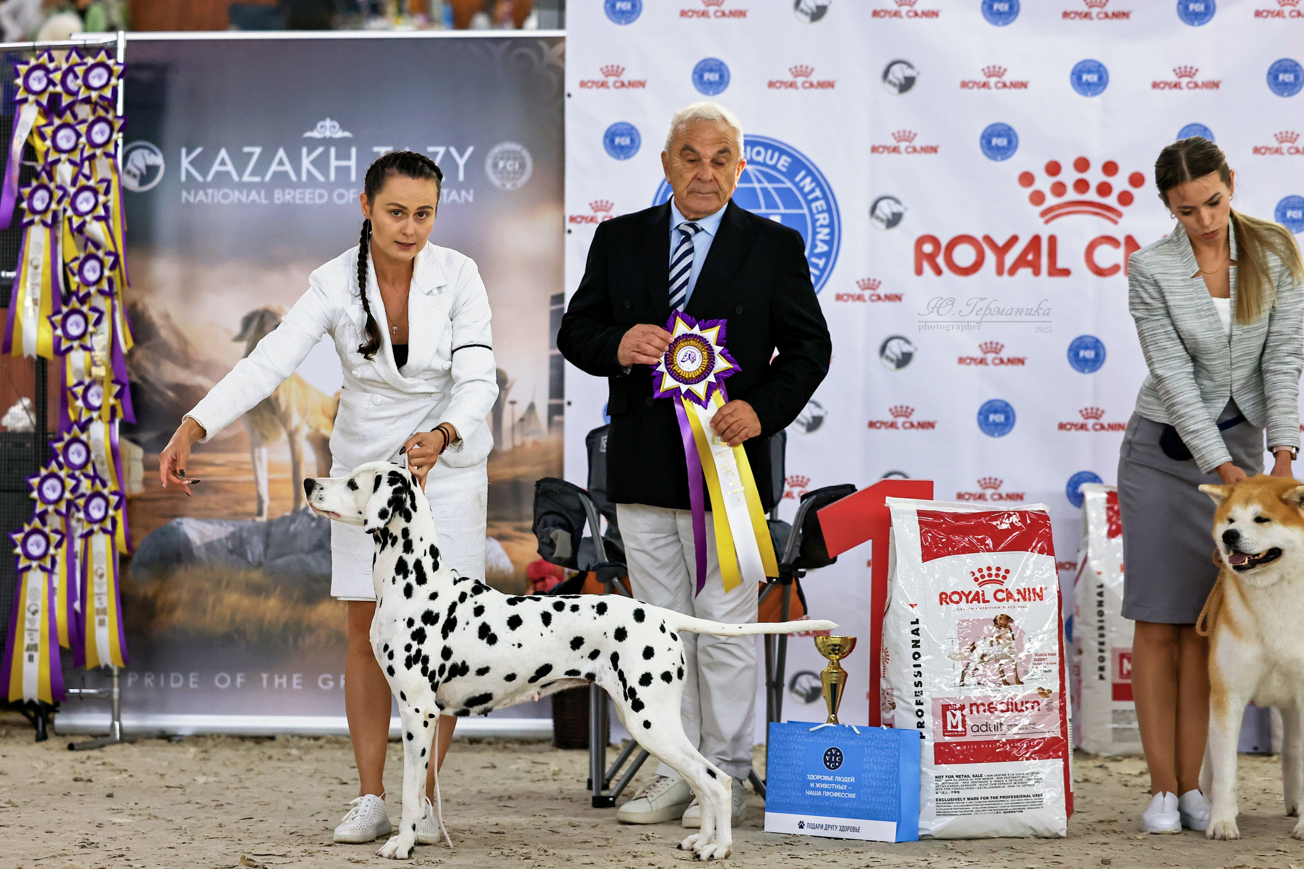 Астана 2хCACIB 26-28.09.2025. Фотограф-анималист Юлия Германика