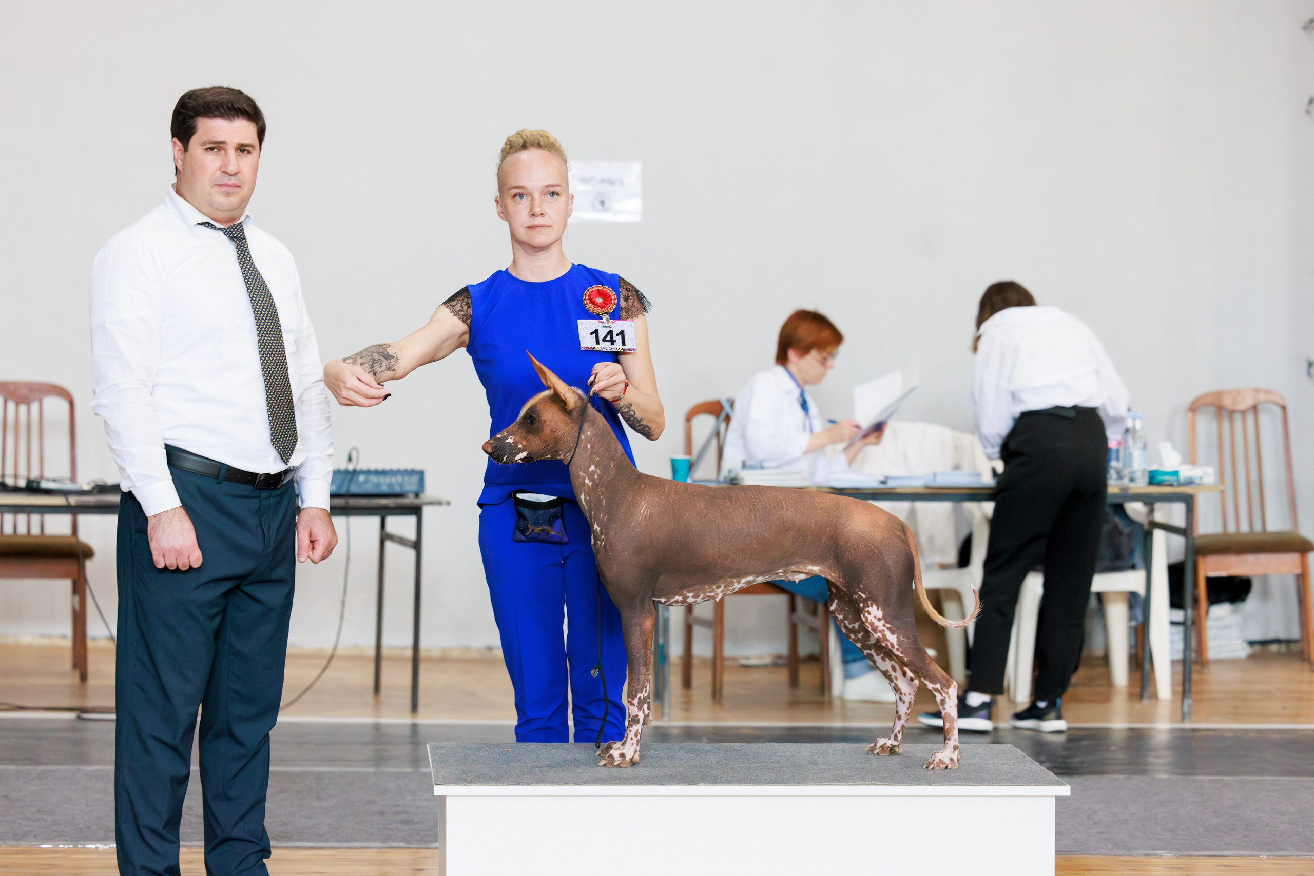 Ереван 2х CACIB 29-30.04.2025. Фотограф-анималист Юлия Германика