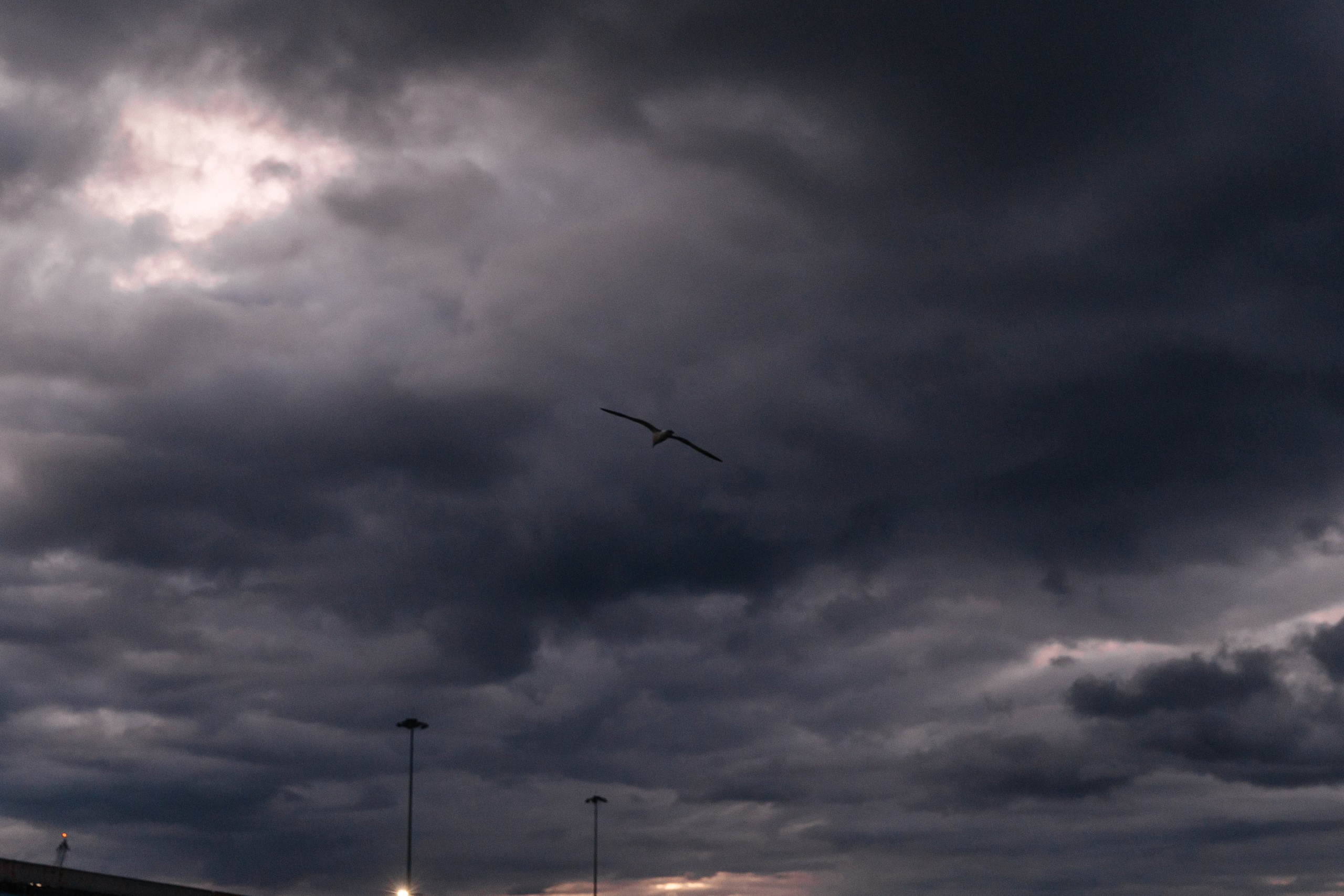 VICTORIA. Свадебный фотограф | Екатеринбург | Сочи | Артем Шестаков