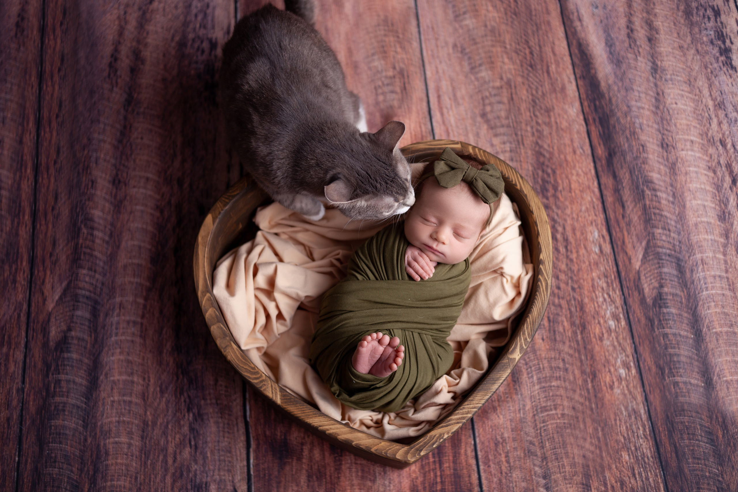 Девочки. Фотограф новорожденных г. Подольск, г. Жуковский, весь юг Москвы и Моск.обл