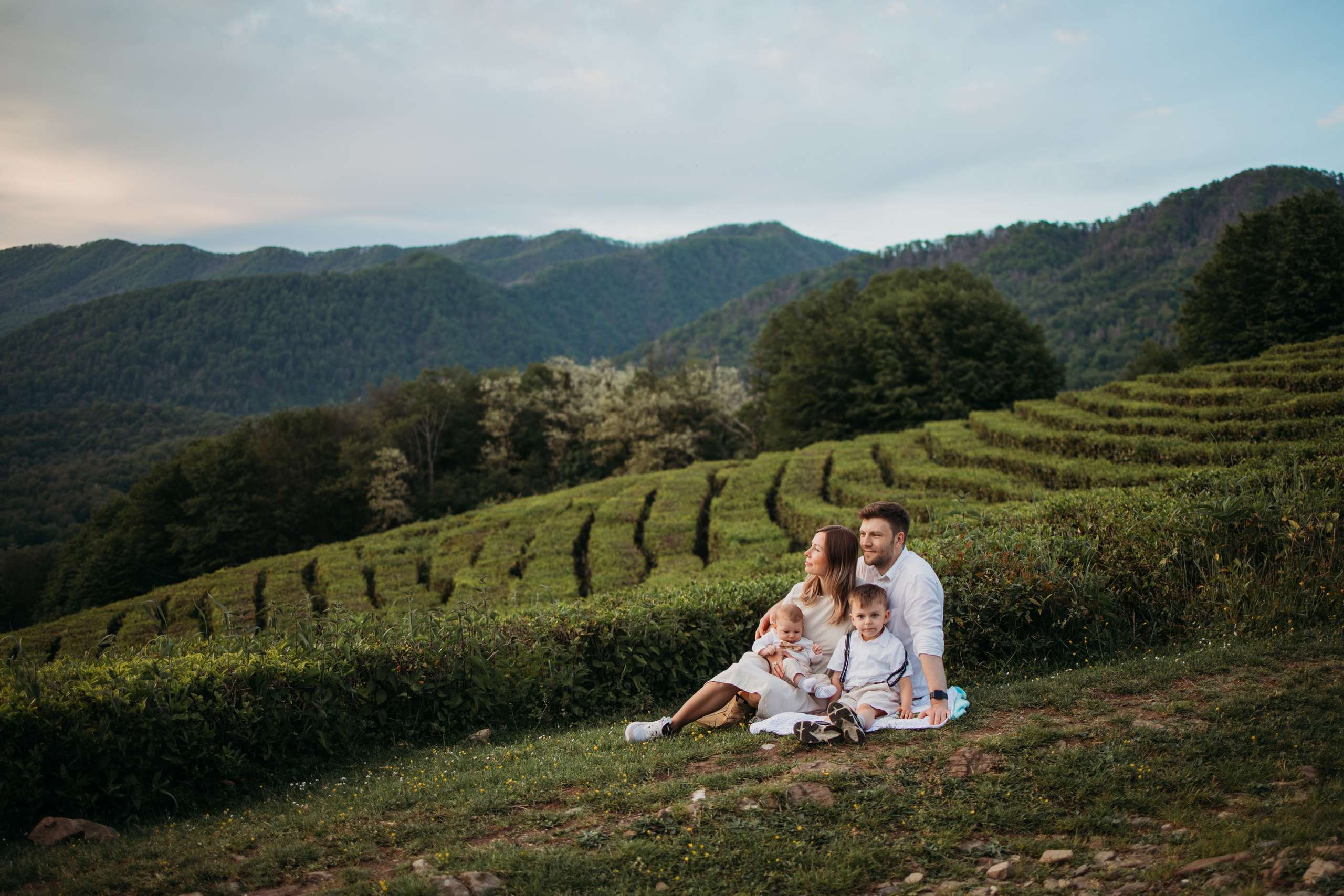 Чайные плантации мацеста. Фотограф Сочи Татьяна Зорина