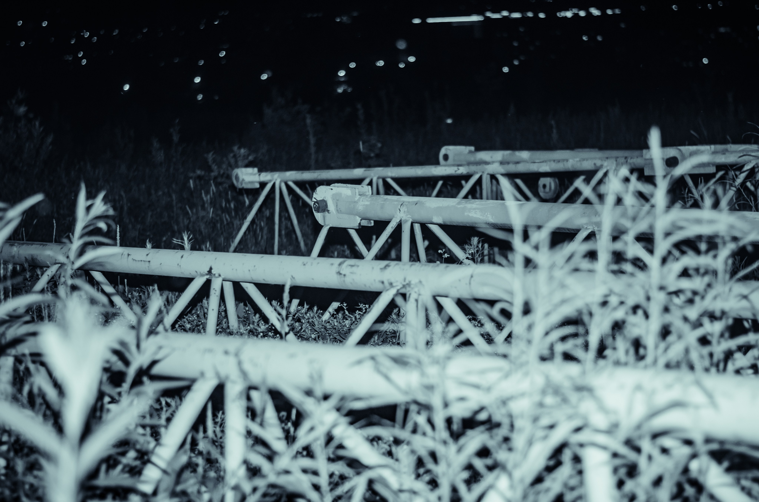 Romvaya. Фотограф | Евгений Панченко — Москва