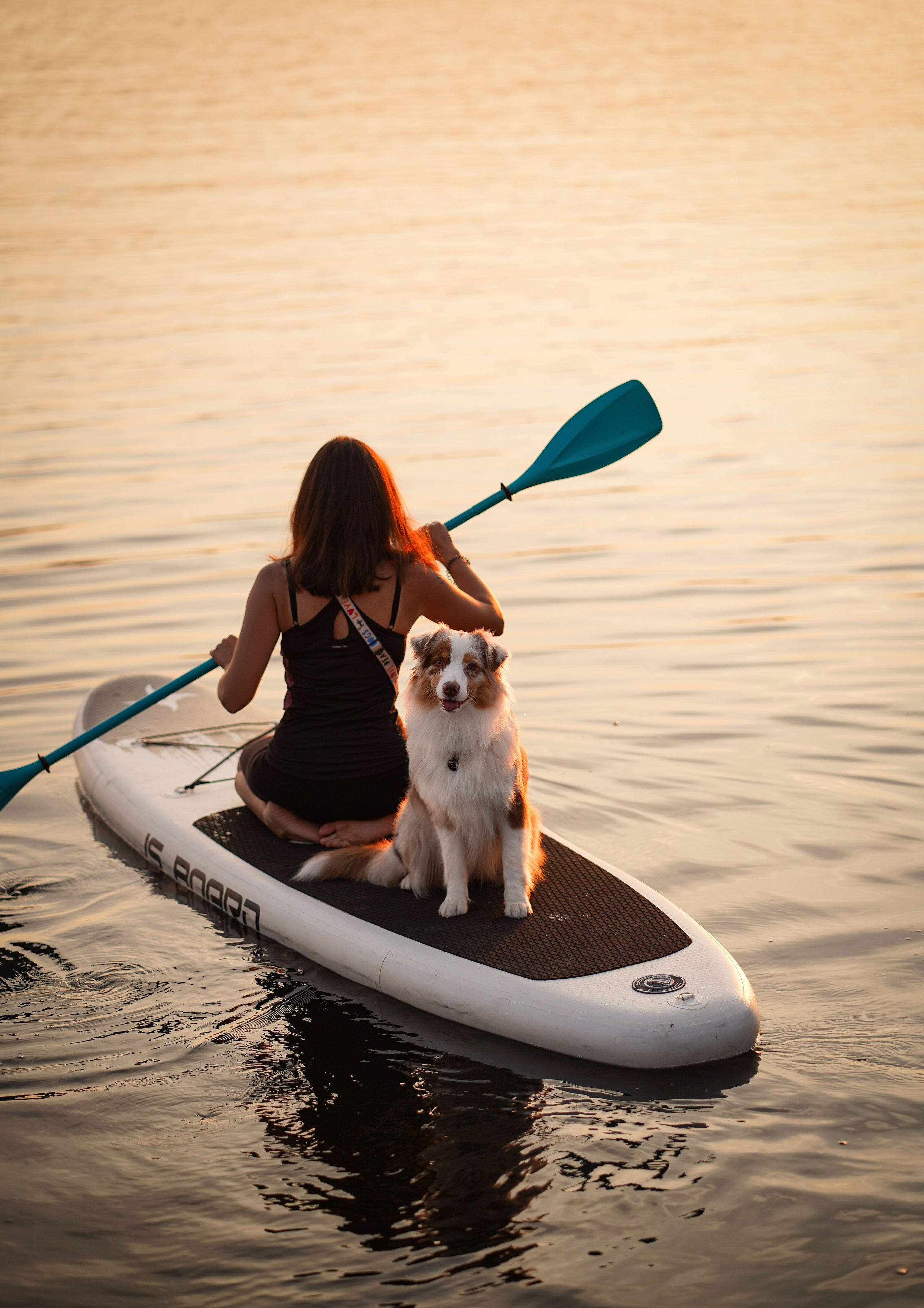 Панда SUP. Фотограф-анималист в Санкт-Петербурге Яна Мартынова