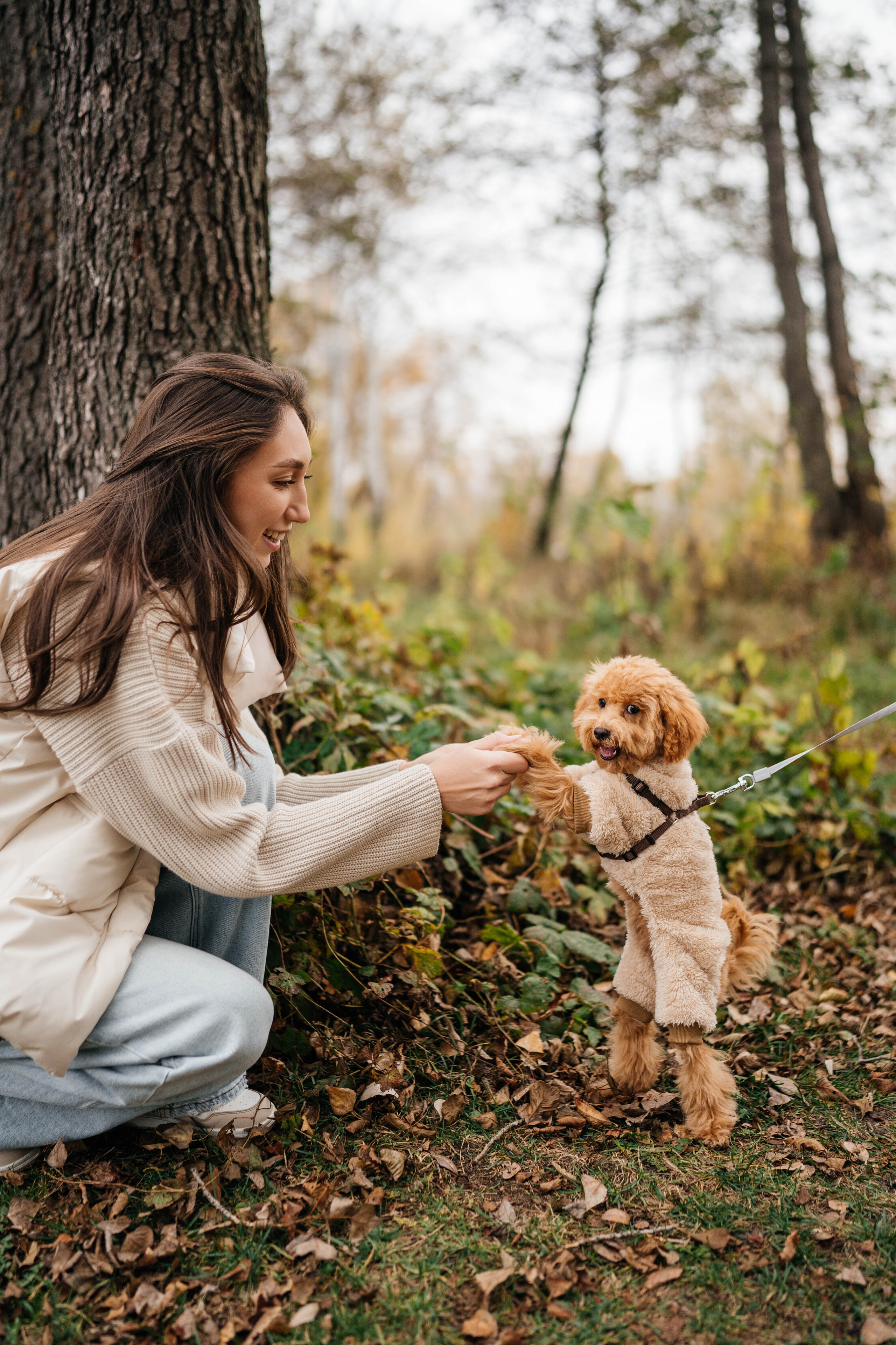 Съемки с животными. Https://instagram.com/ana.stasia.n