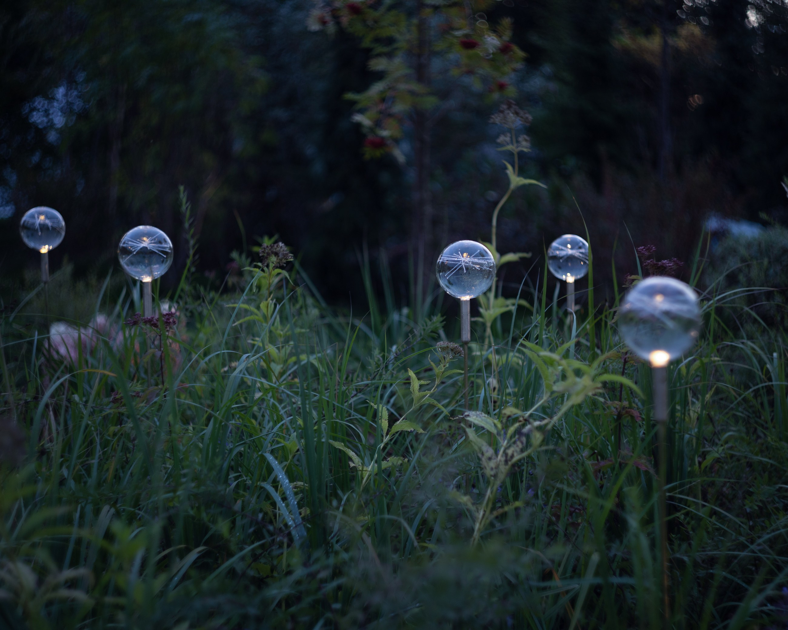 Декоративный ландшафтный свет TEMPARIUM. Фотограф Наталья Молчанова