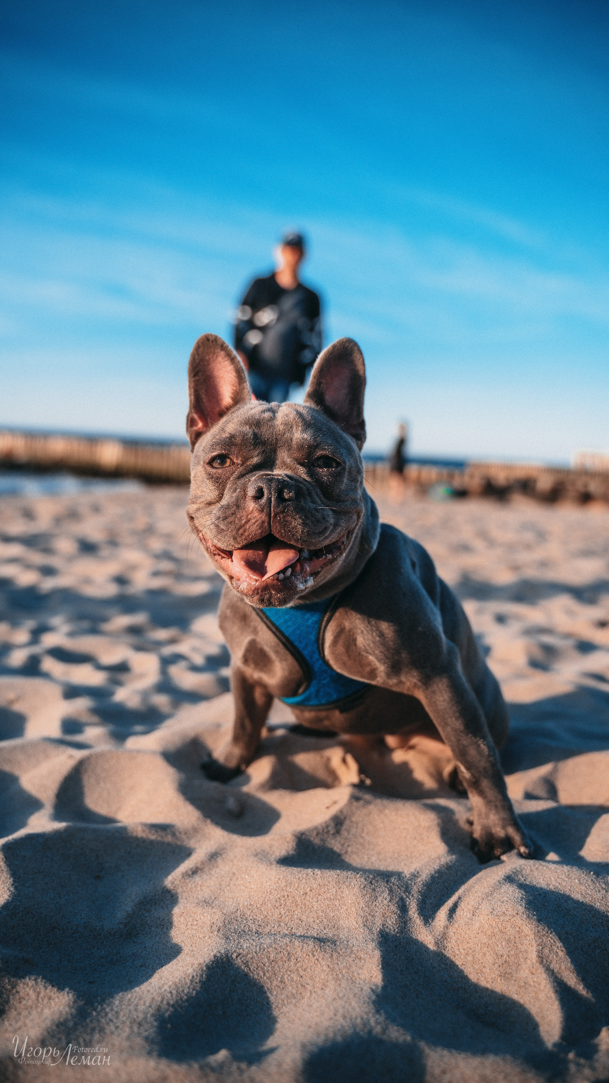 Калининград. Свадебный и семейный фотограф Калининград Зеленоградск Светлогорск Леман Игорь