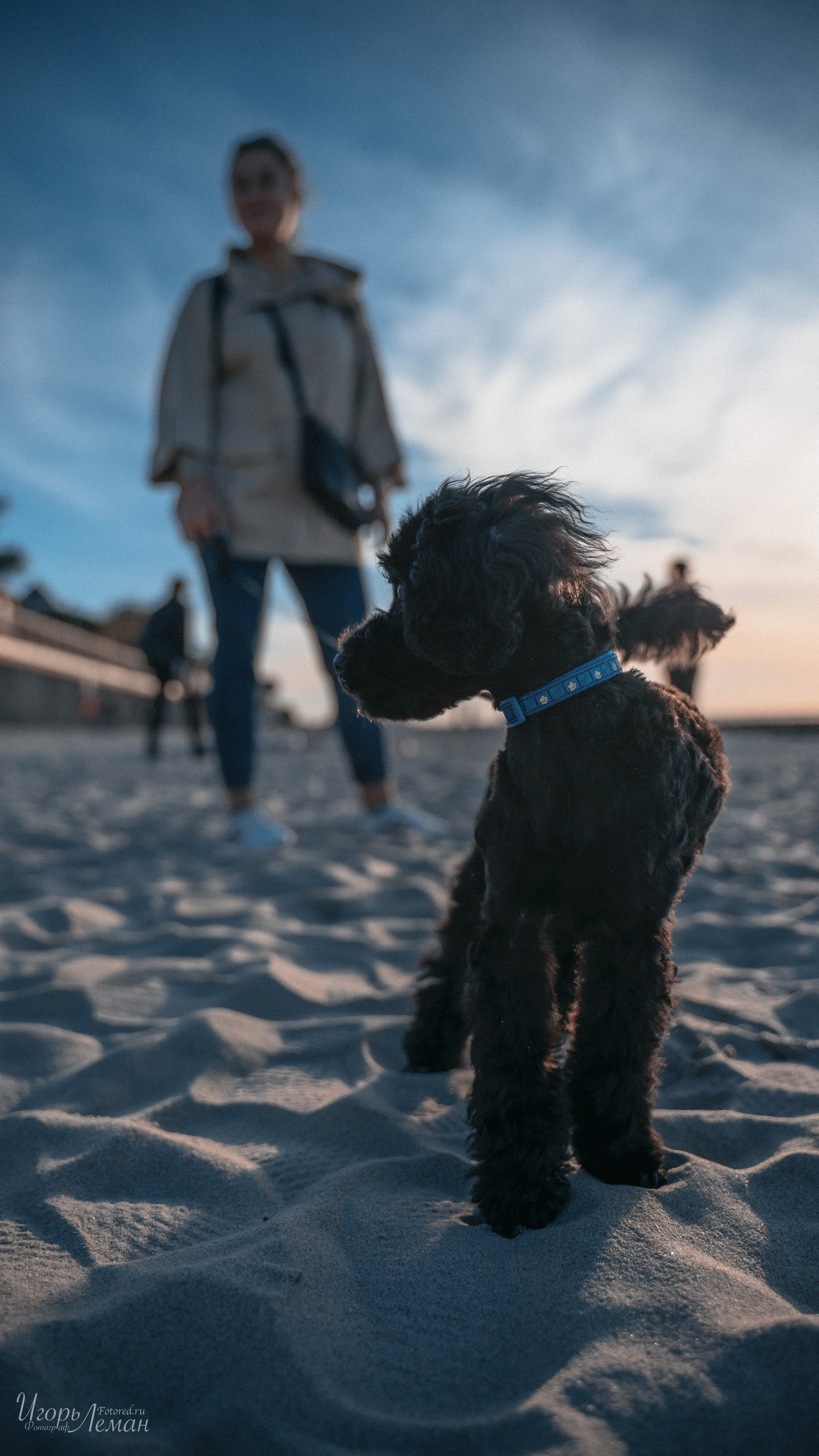 Калининград. Свадебный и семейный фотограф Калининград Зеленоградск Светлогорск Леман Игорь