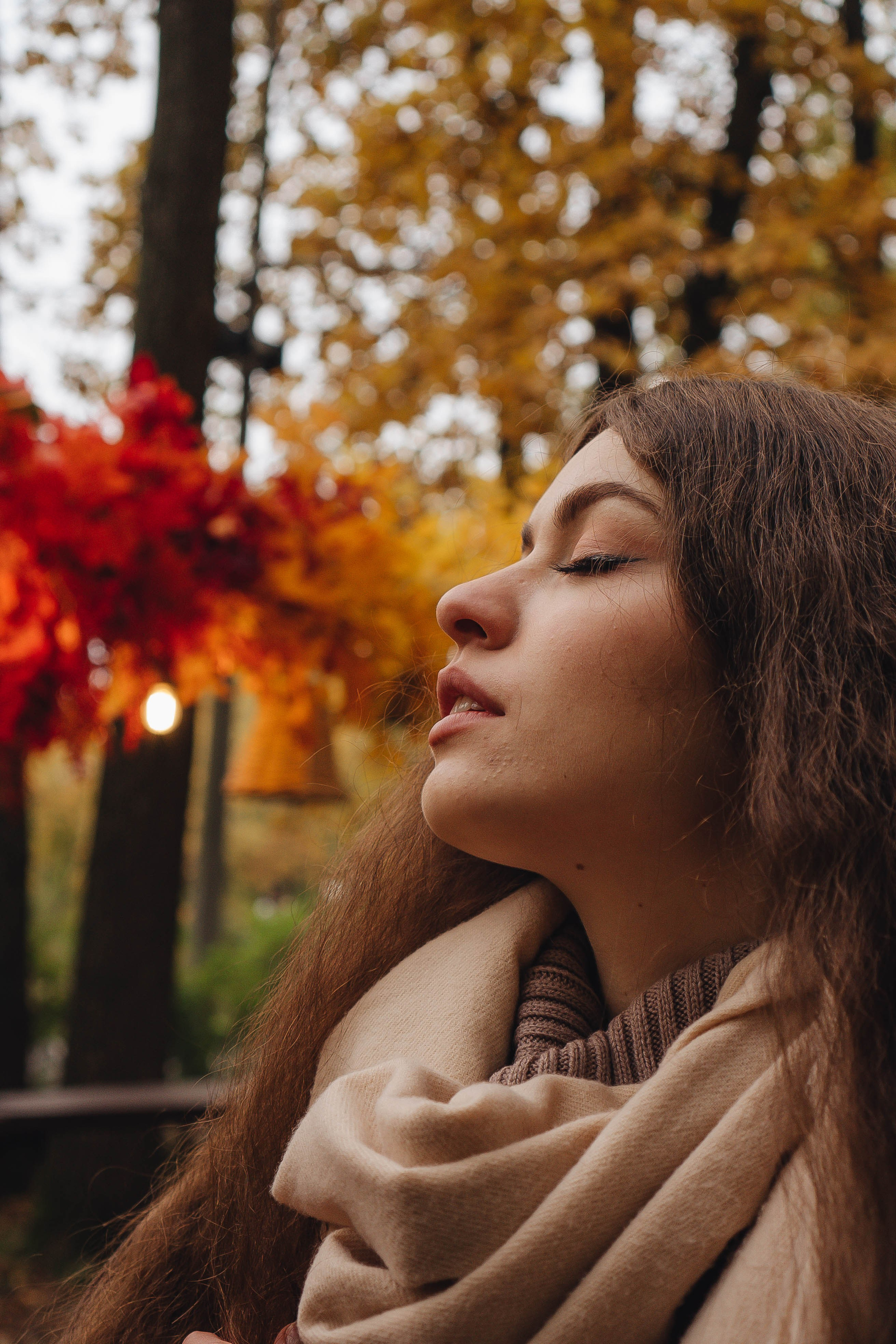 Осень. Профессиональный фотограф, Санкт-Петербург — Виктория Богомолова