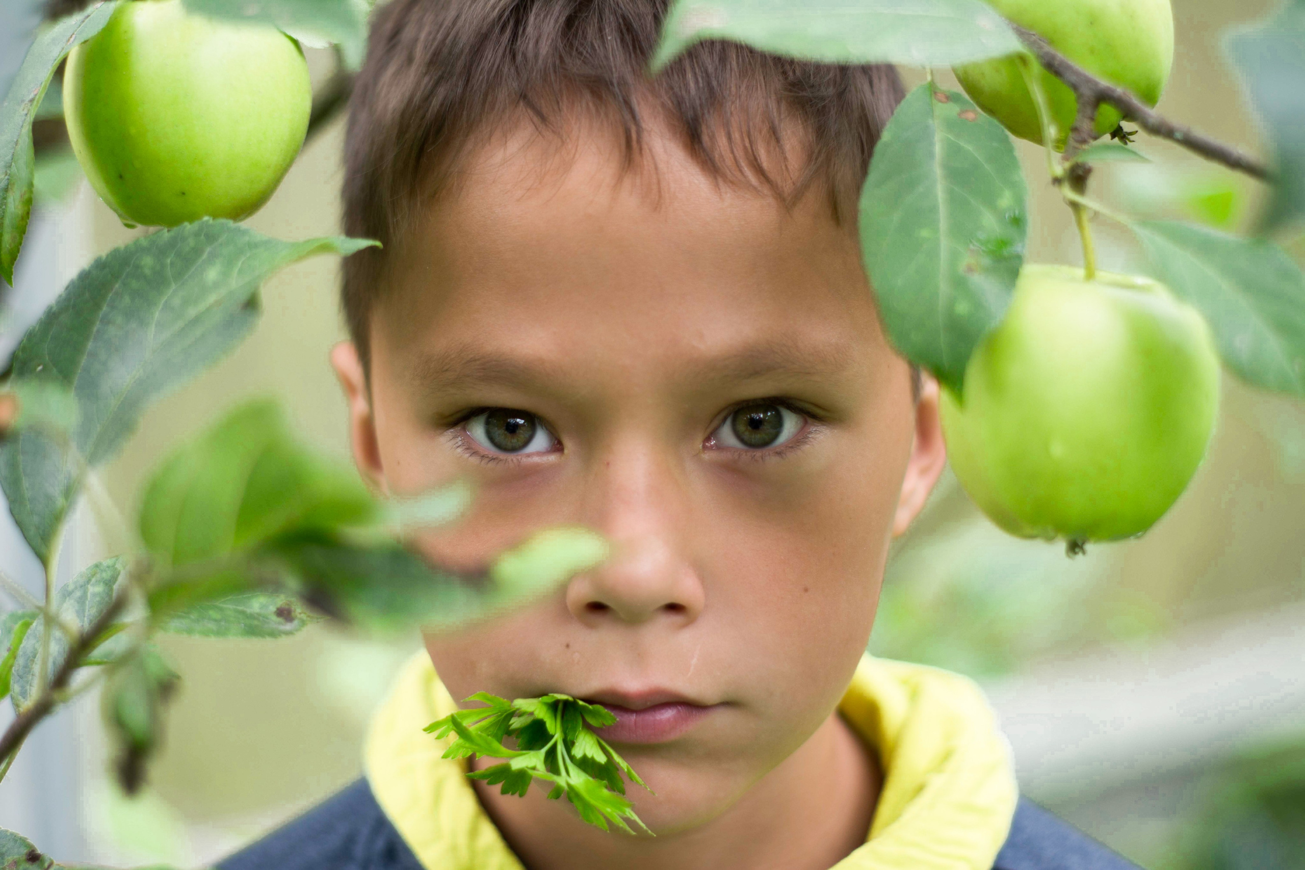 Дети. Семейный и детский фотограф Ирина Ли
