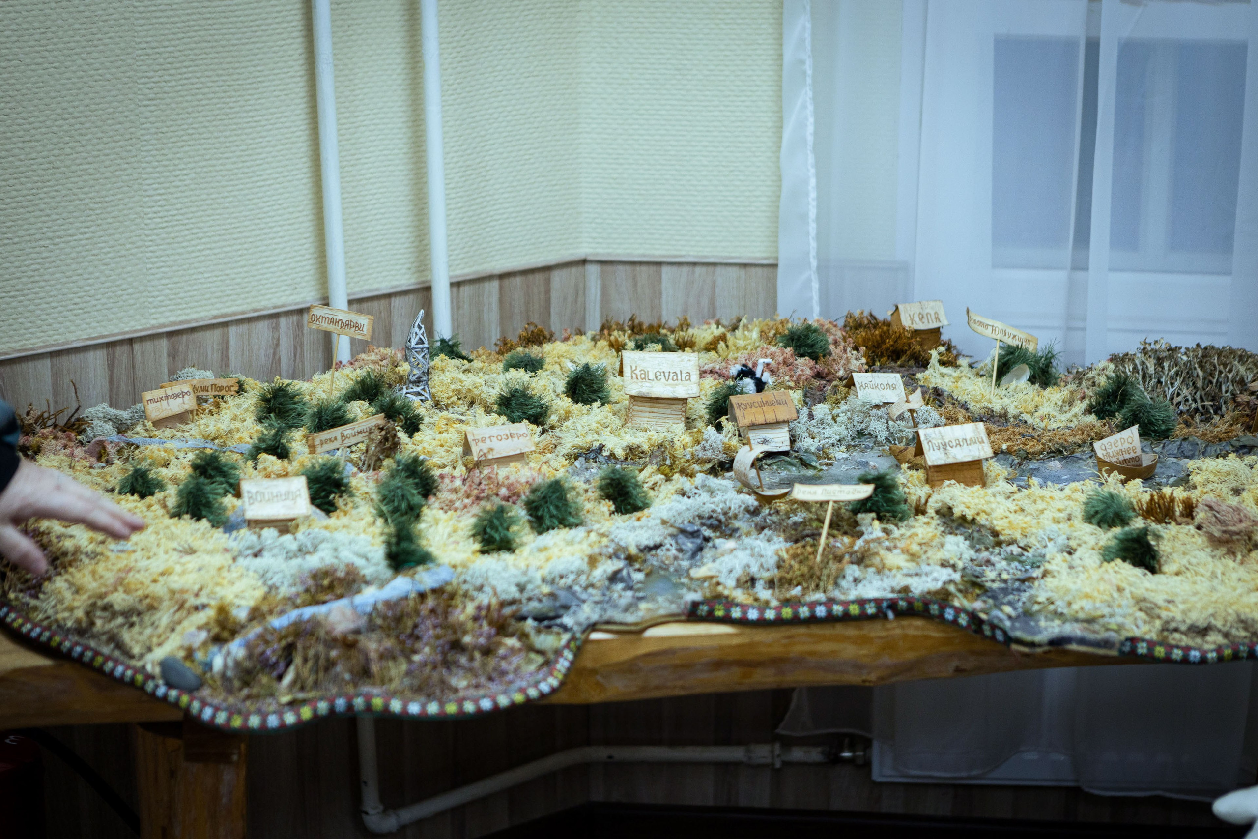 Калевала (зима 2022). Фотограф Виноградов Константин