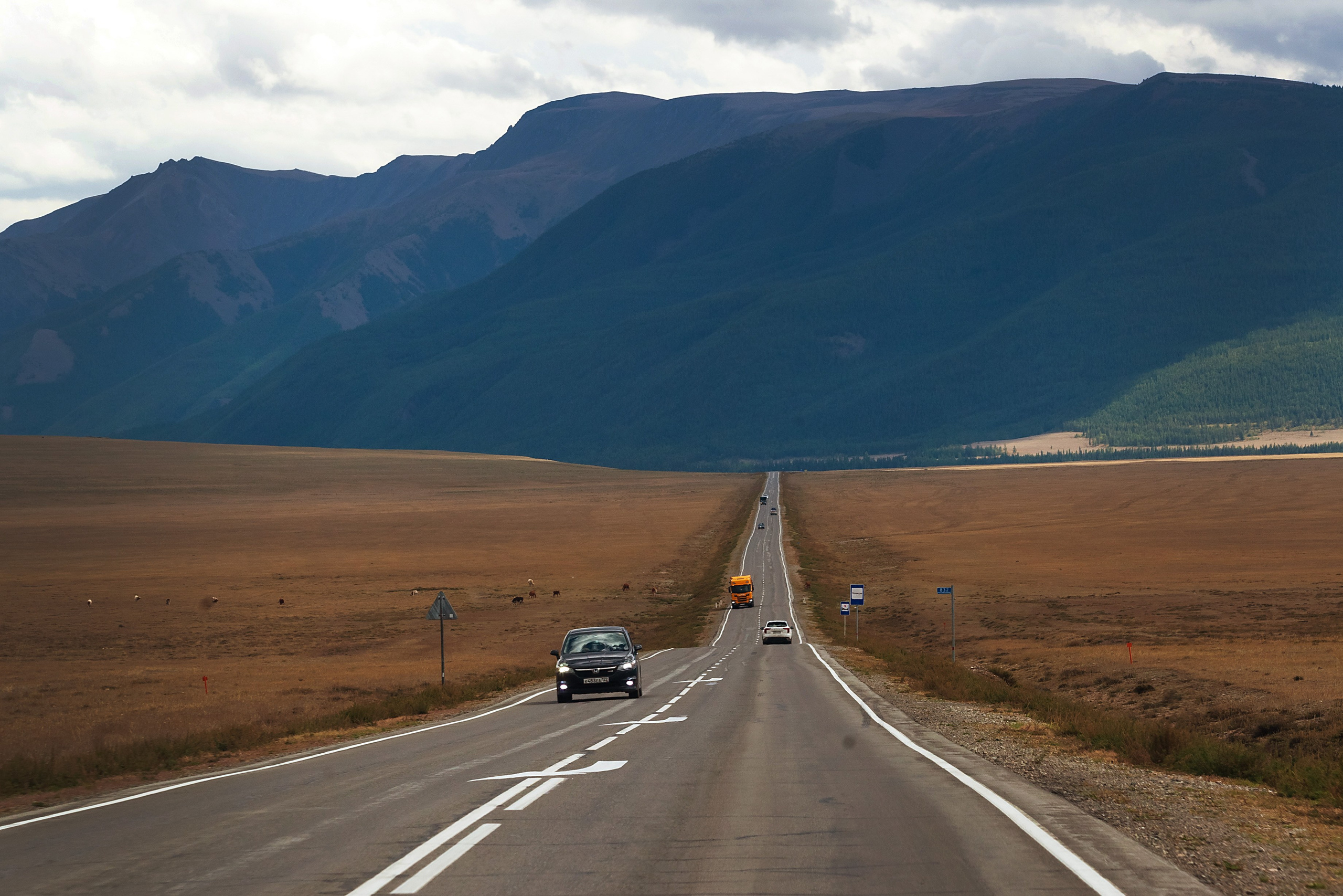 АЛТАЙ 2024 / ALTAI 2024. Главная