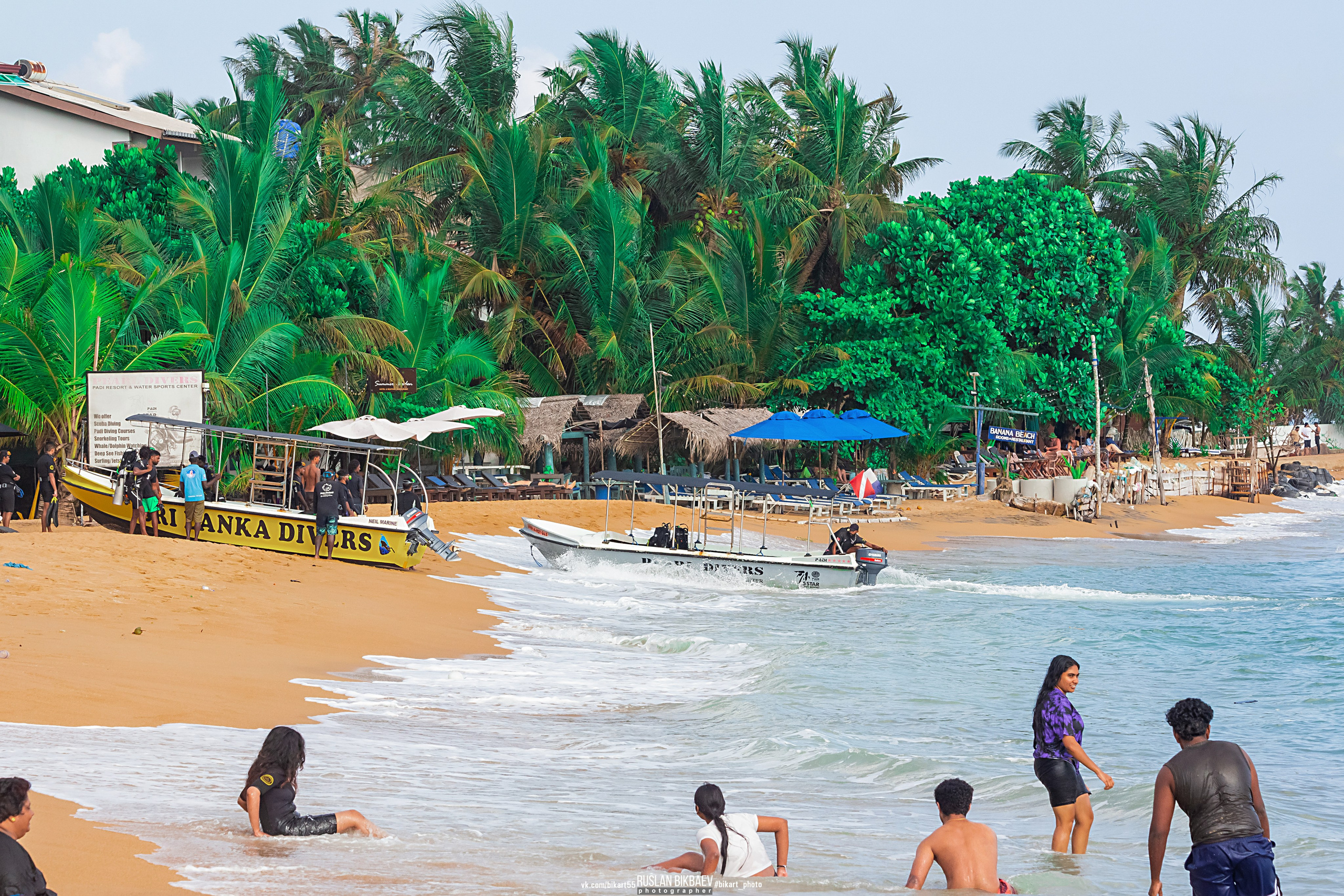 ШРИ-ЛАНКА 2025 / SRI LANKA 2025. Главная
