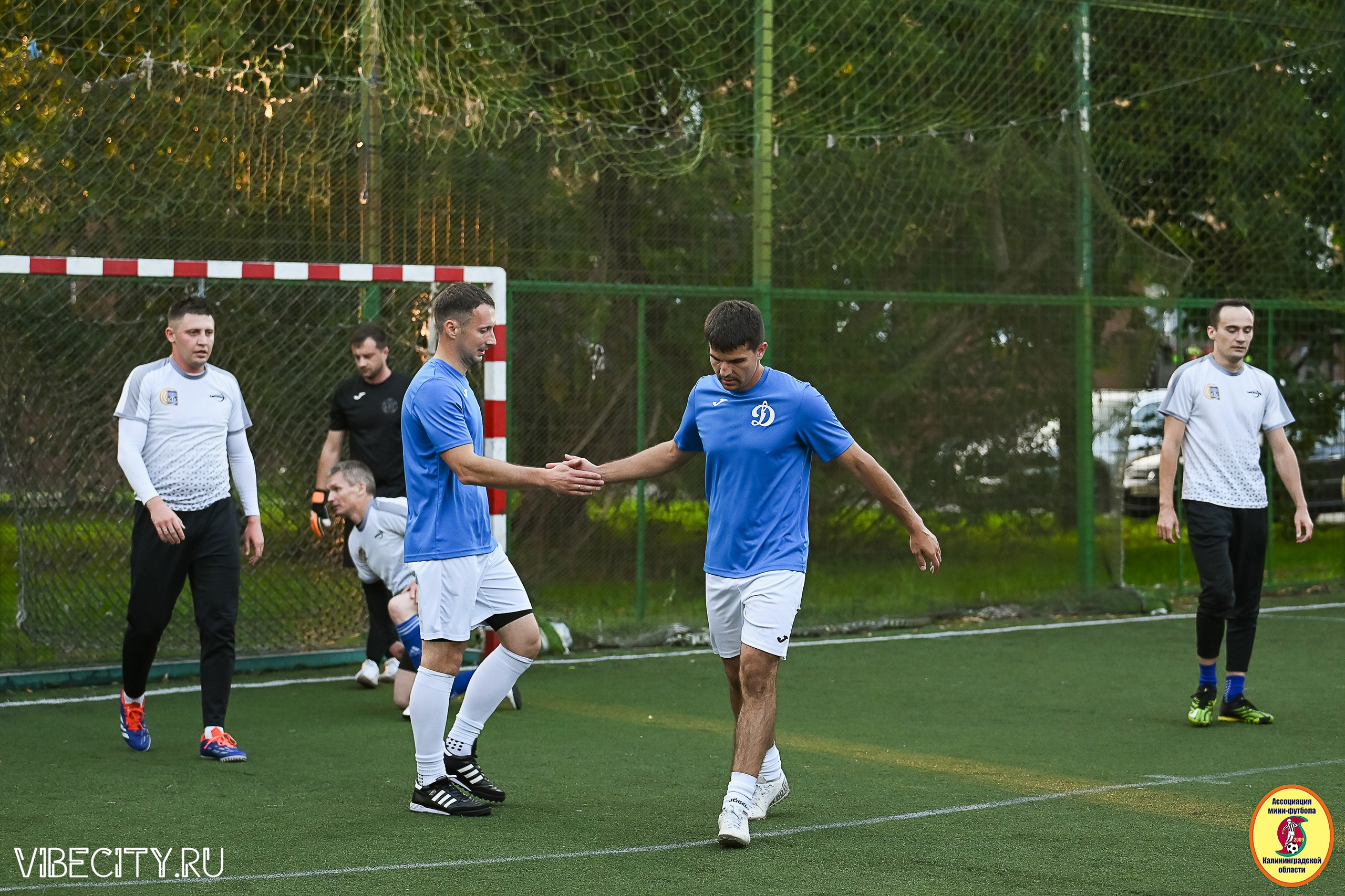 ИГРЫ ПЛЕЙ-ОФФ ПЕРВОГО ДИВИЗИОНА МИНИ-ФУТБОЛЬНОЙ ЛИГИ. VIBECITY.RU Вайб Сити Ру Фоторепортажи Фотоотчеты Калининград