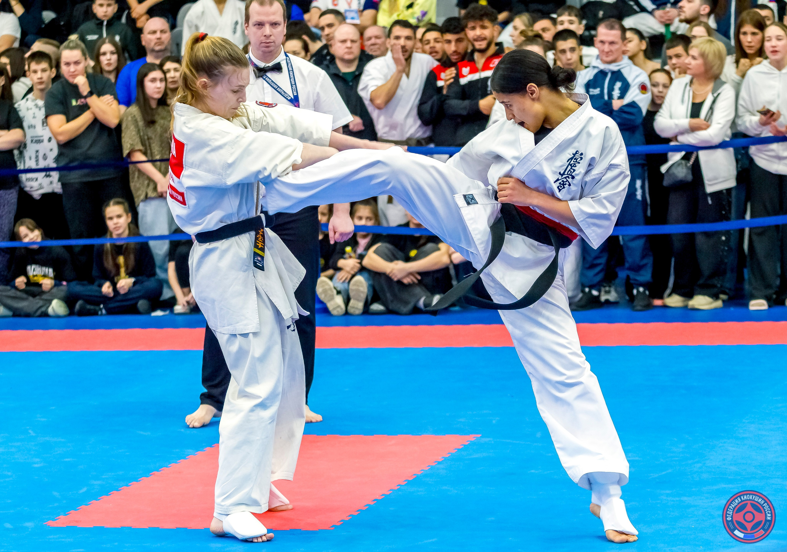 Международный турнир по киокушин «Открытый кубок Seiken». Репортажная съемка в Москве и области. Анималистика