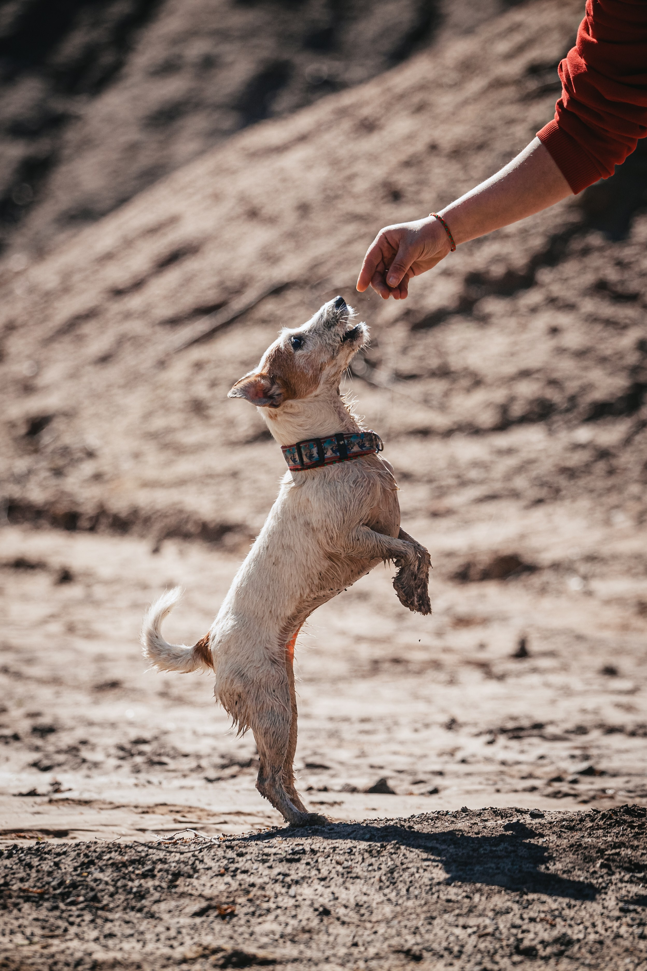 Кондуки. Фотограф-анималист Татьяна Степанова