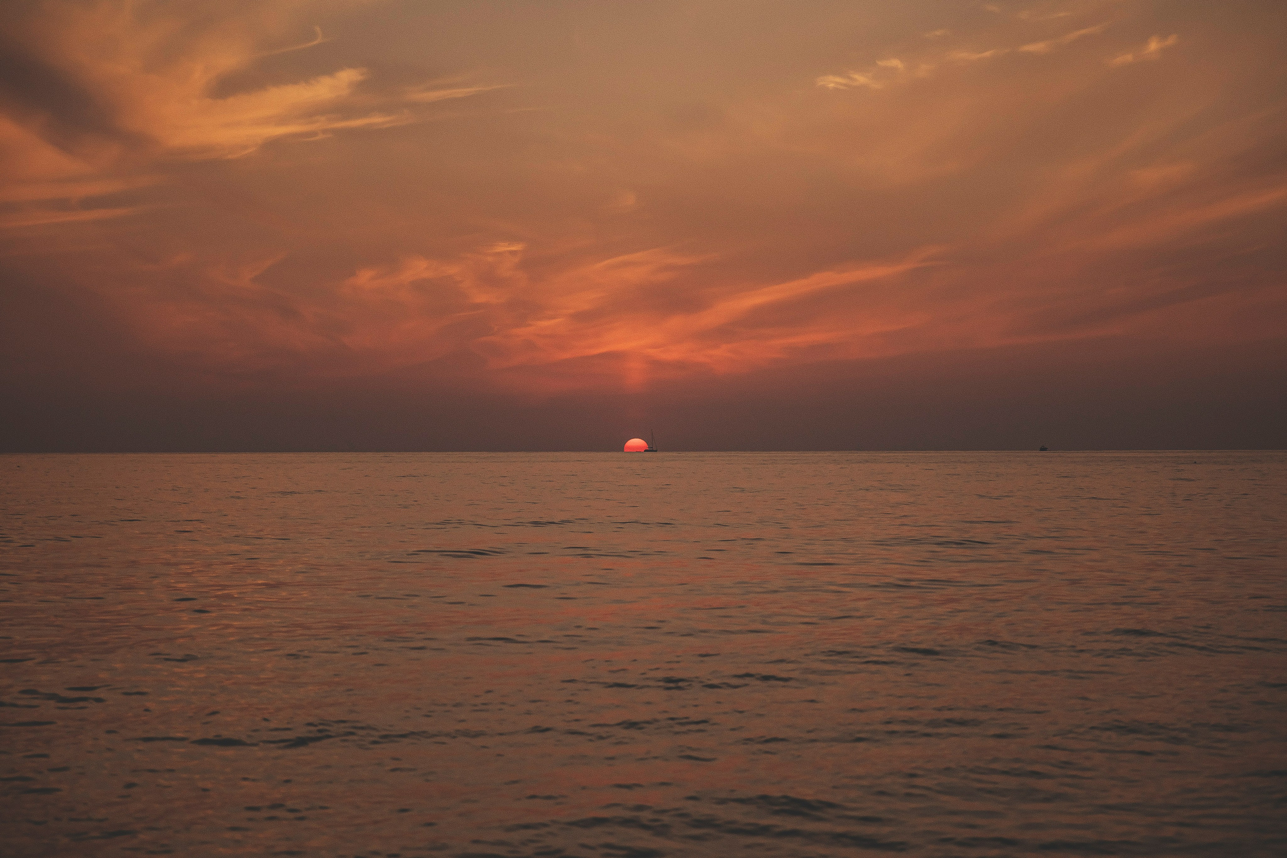 Алия и Николай. Свадебный и семейный фотограф Колоскова Мария (Сочи и весь мир)