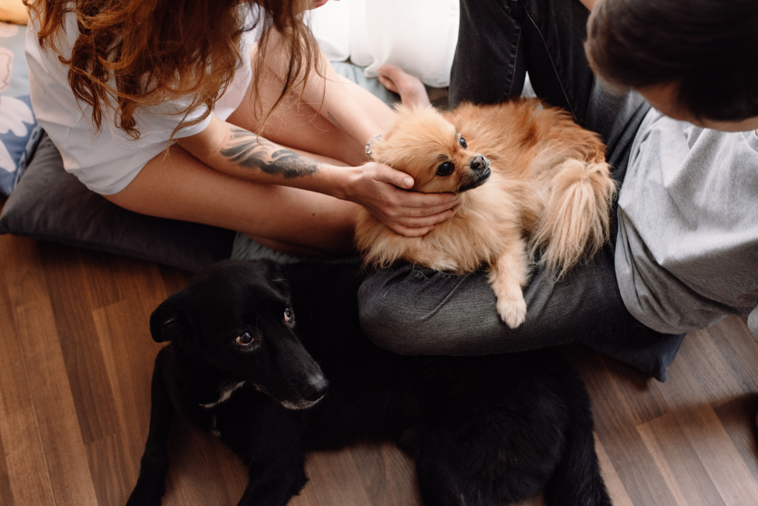 Ульяна и Владимир. Портретный фотограф в Ереване и Челябинске Шаханская Ольга