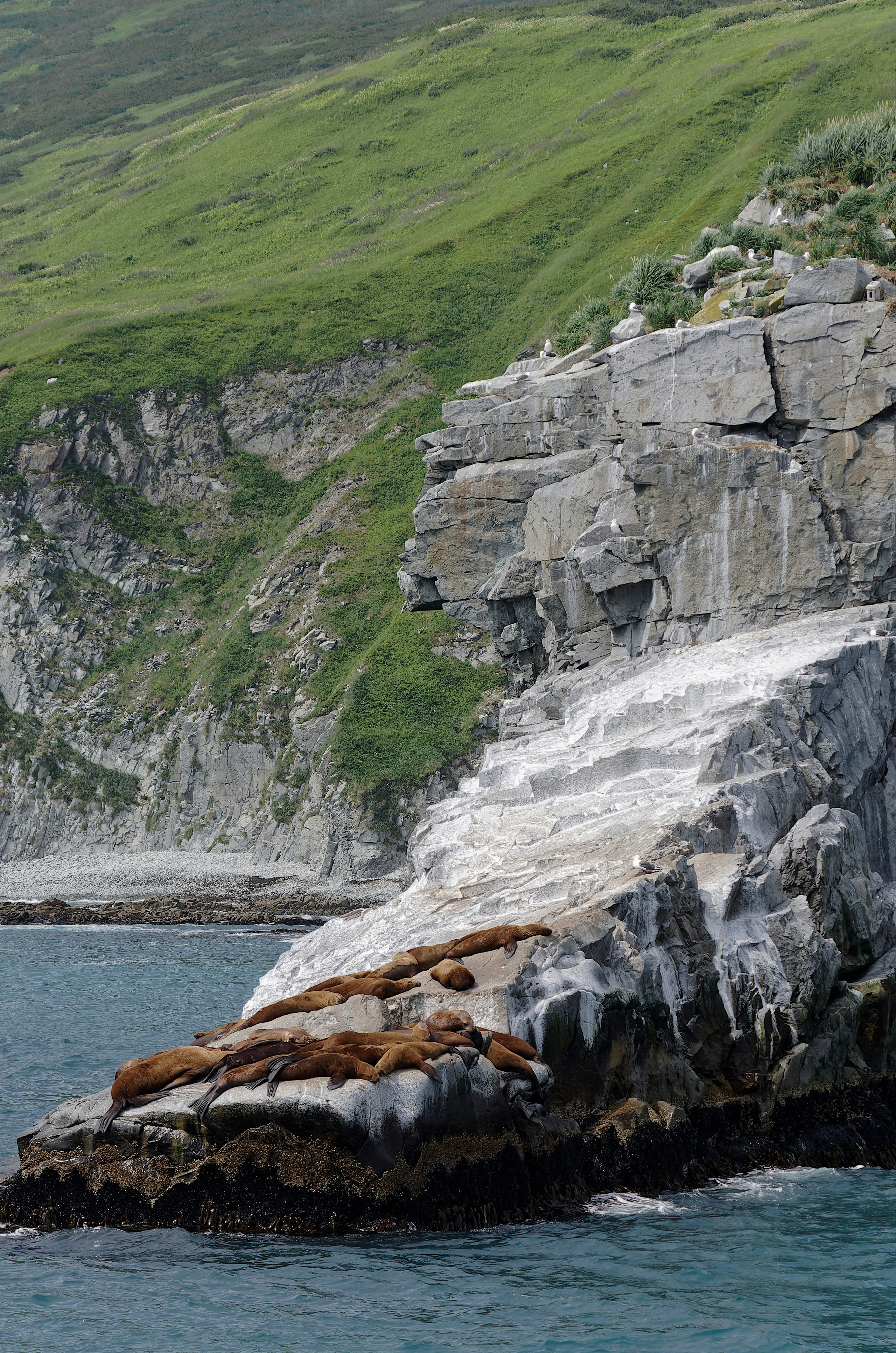 Камчатка. Фототрип. Тур?. Семоха Валерий. Фотограф