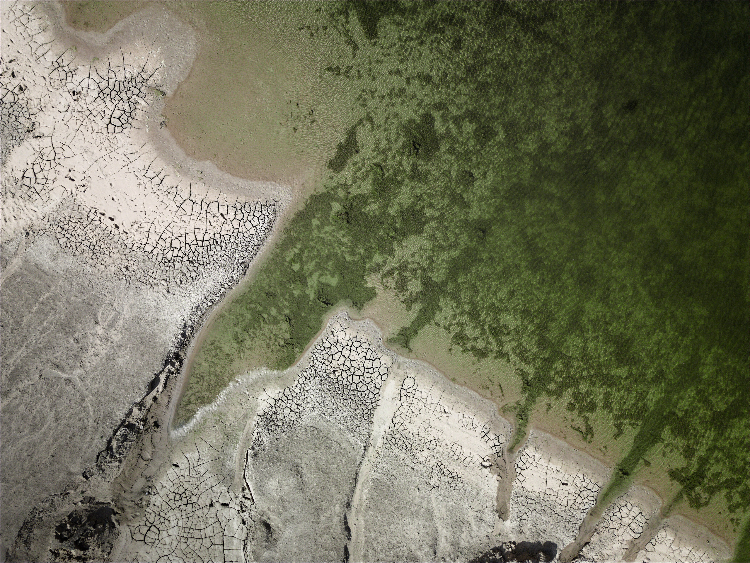 Экспедиция в Монголию (Гоби). Семоха Валерий. Фотограф