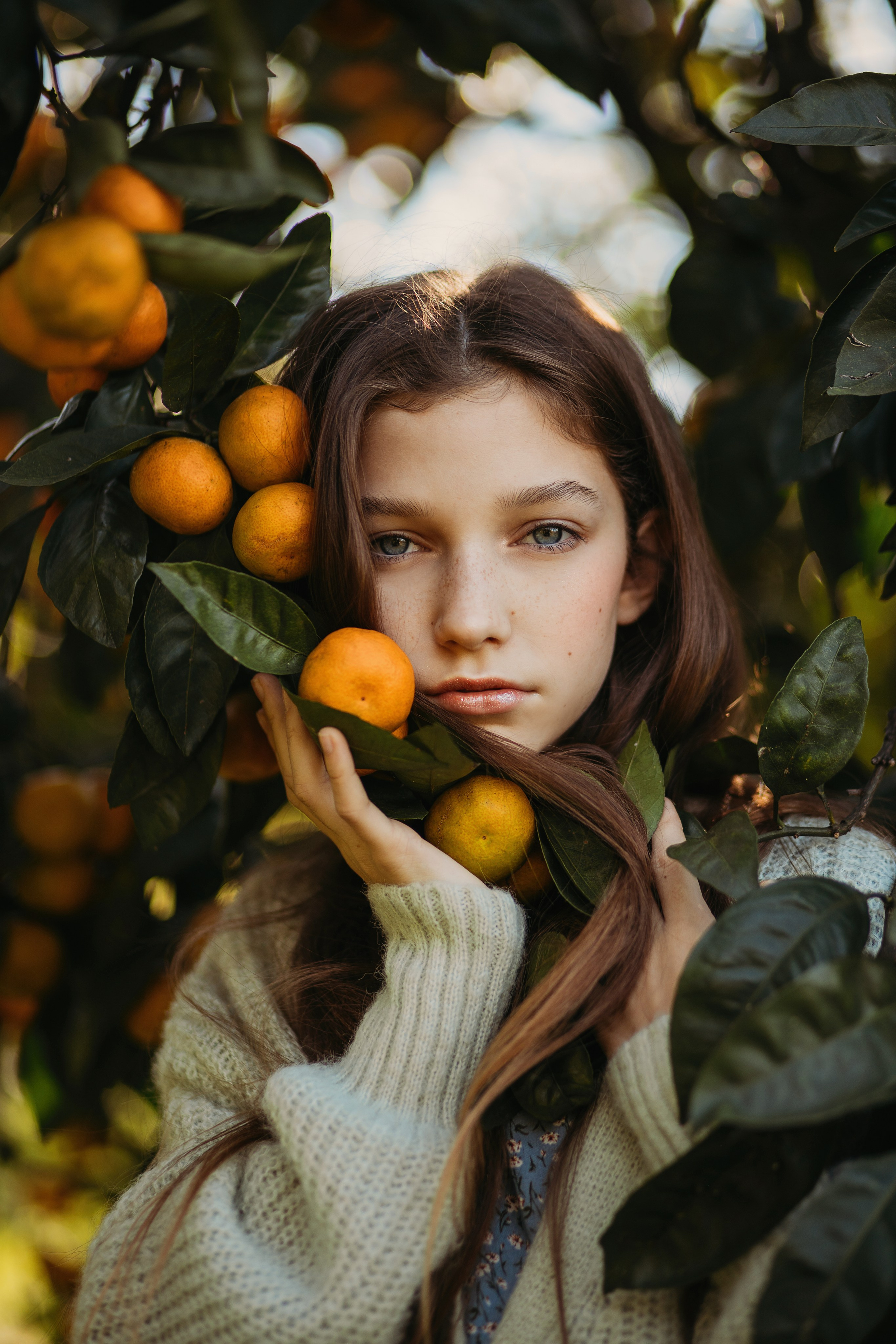 Мандариновая роща. Фотограф Сочи Татьяна Зорина