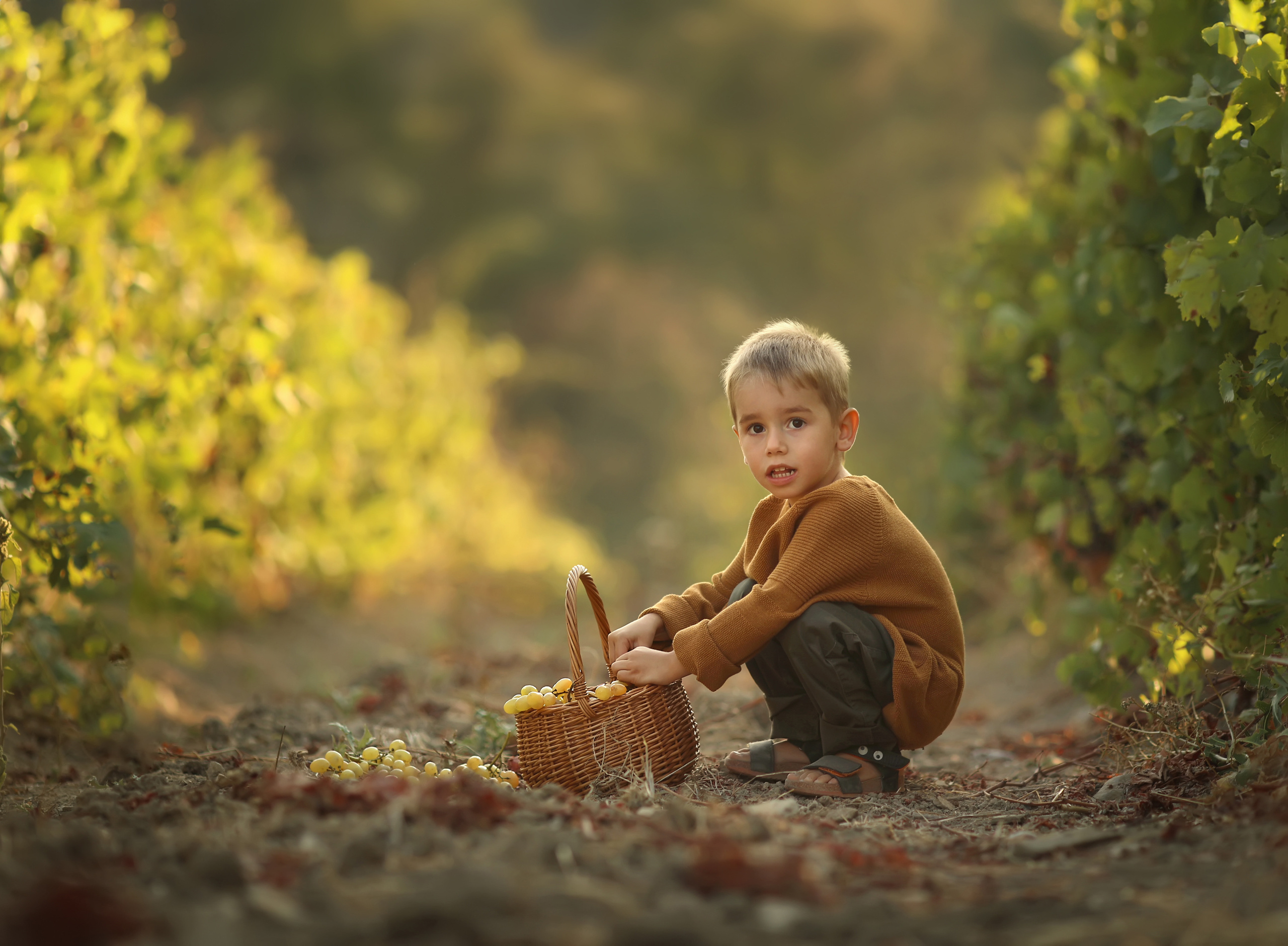Дети. Семейный фотограф в Анапе Светлана Тернопол