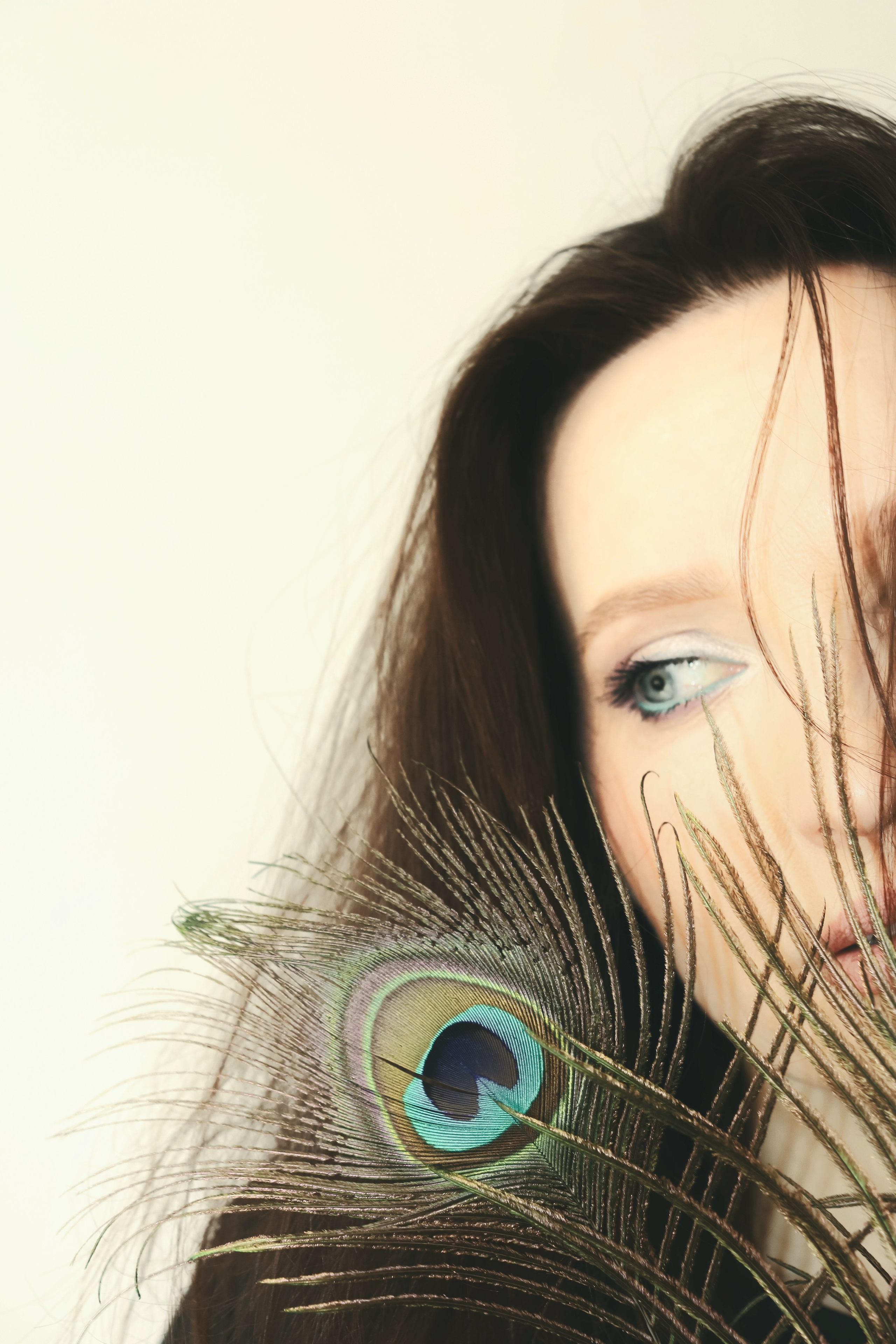 Fairy Bird. Juliarubis.com