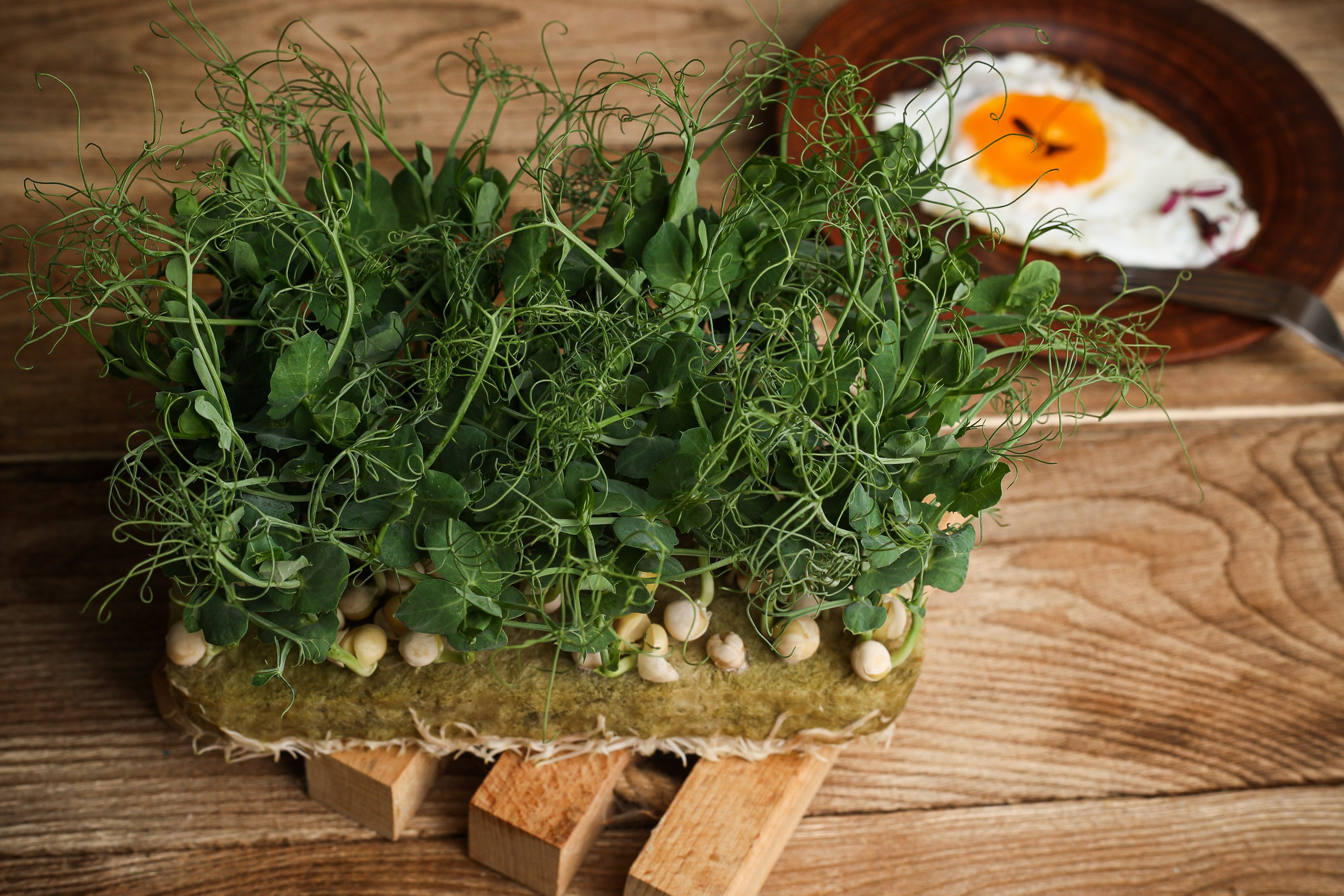 Портфолио. Предметная съемка