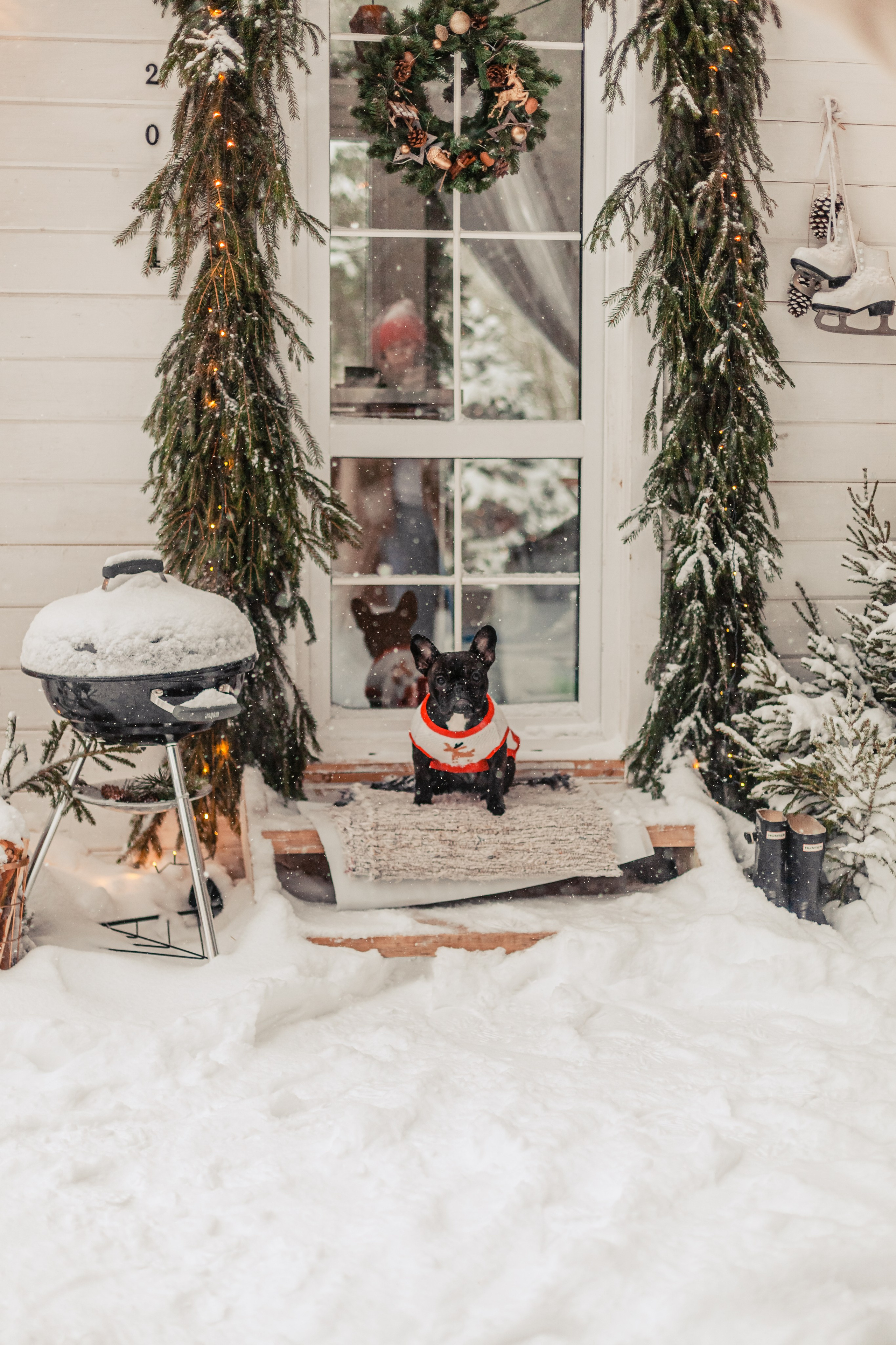 Кантри Хаус. Фотограф-анималист Татьяна Степанова