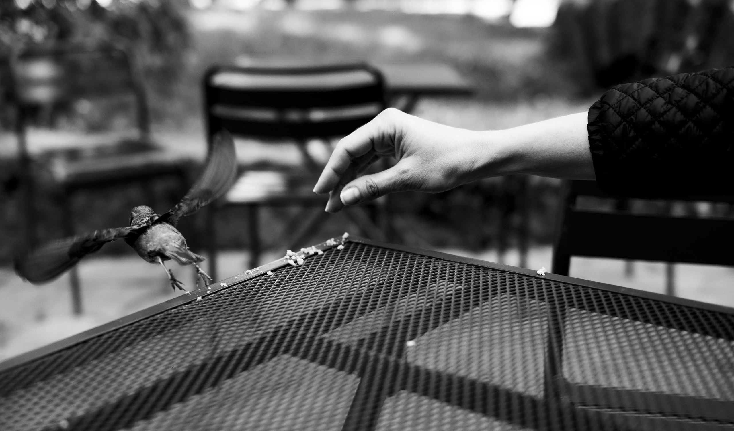 Штормовое предупреждение. May the numbers guide us