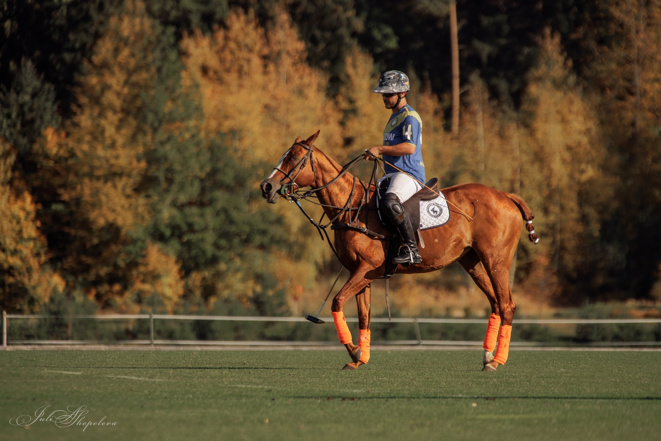 Осенний кубок по конному поло. Детская Конная фотография в Москве Юлия Шепелева