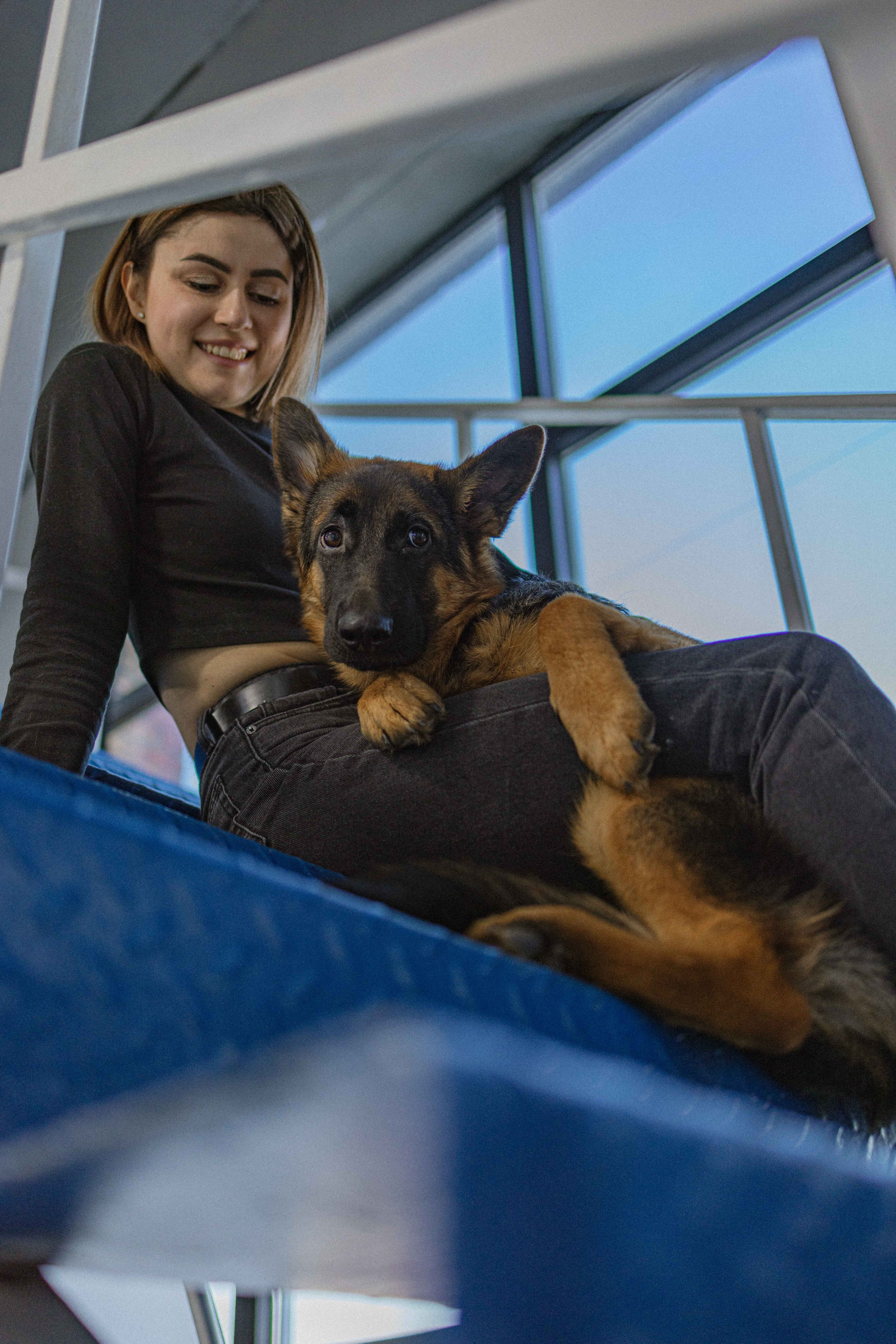 Ася и Буся. Фотограф-анималист в Москве Лера Черноног