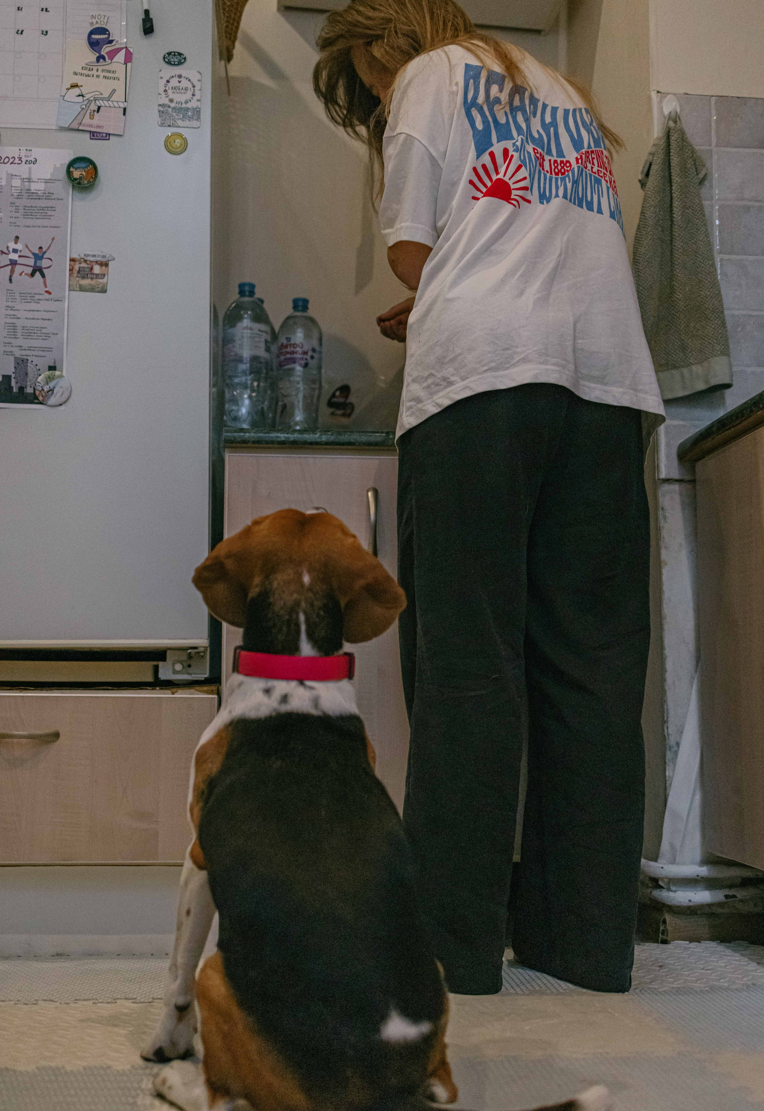 Света и Ива. Фотограф-анималист в Москве Лера Черноног