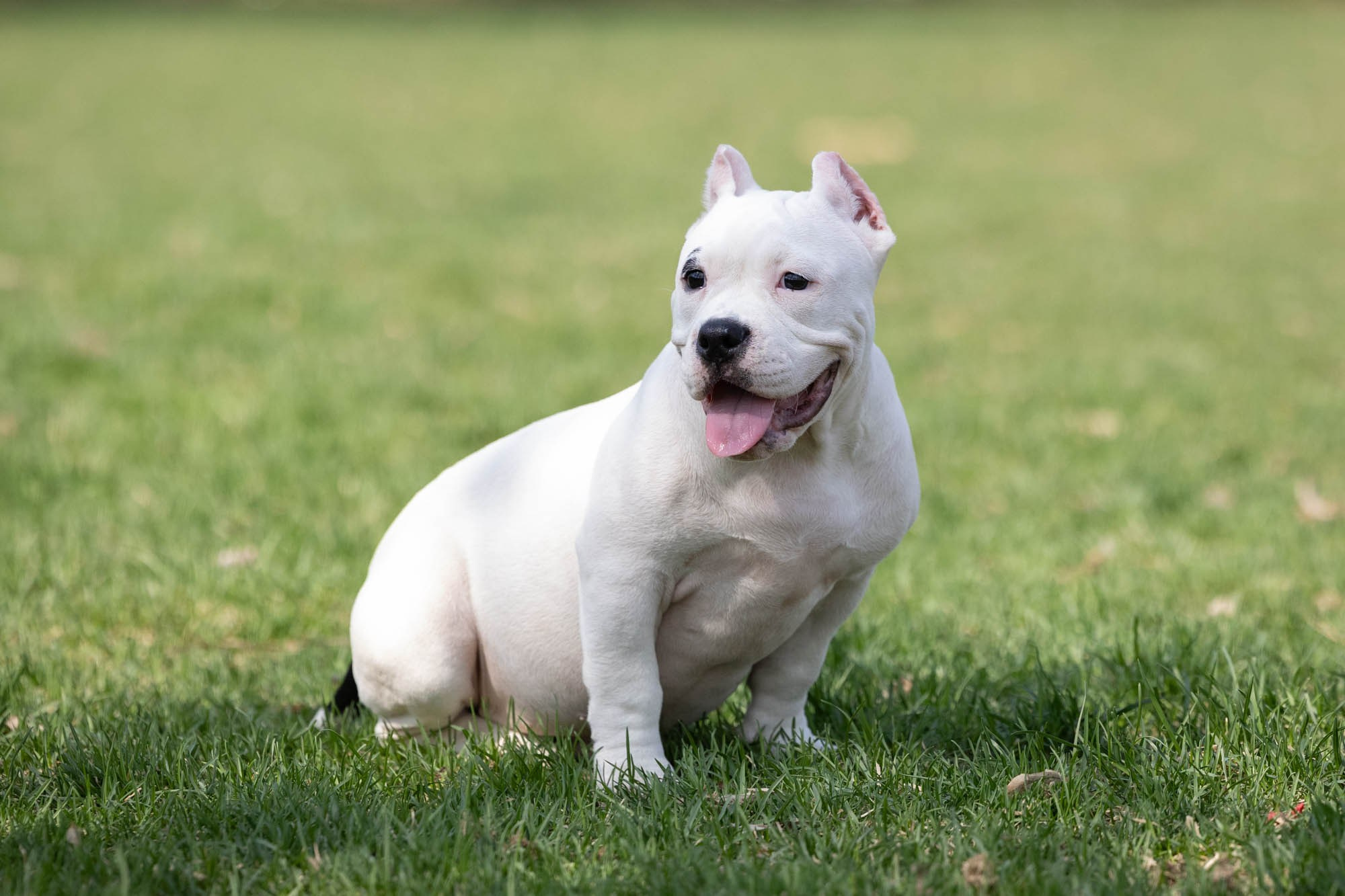 Виктория Михайловская. Фотограф-анималист. Москва
