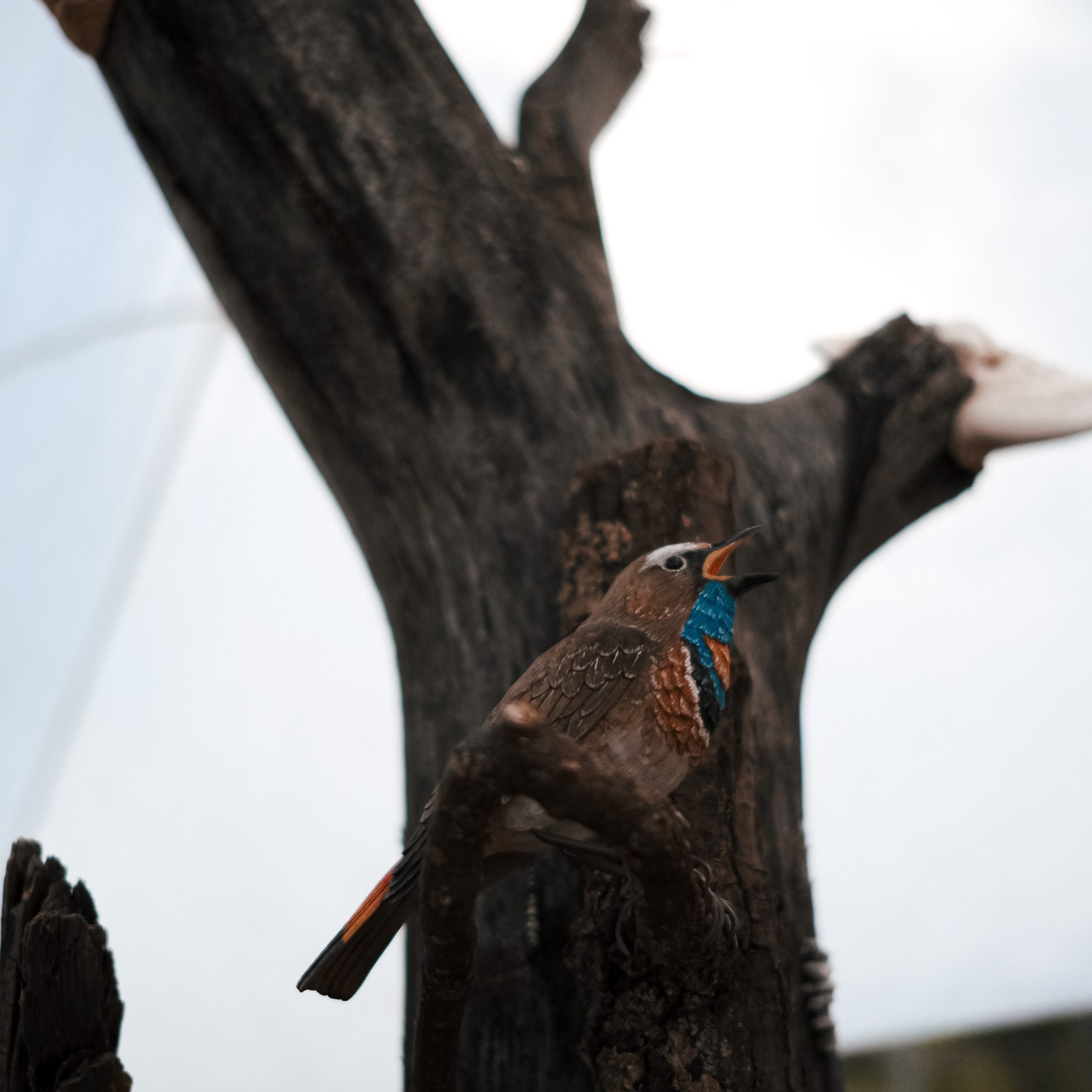 Эко-фестиваль АртЛуга 2022. LIYALEE PHOTO