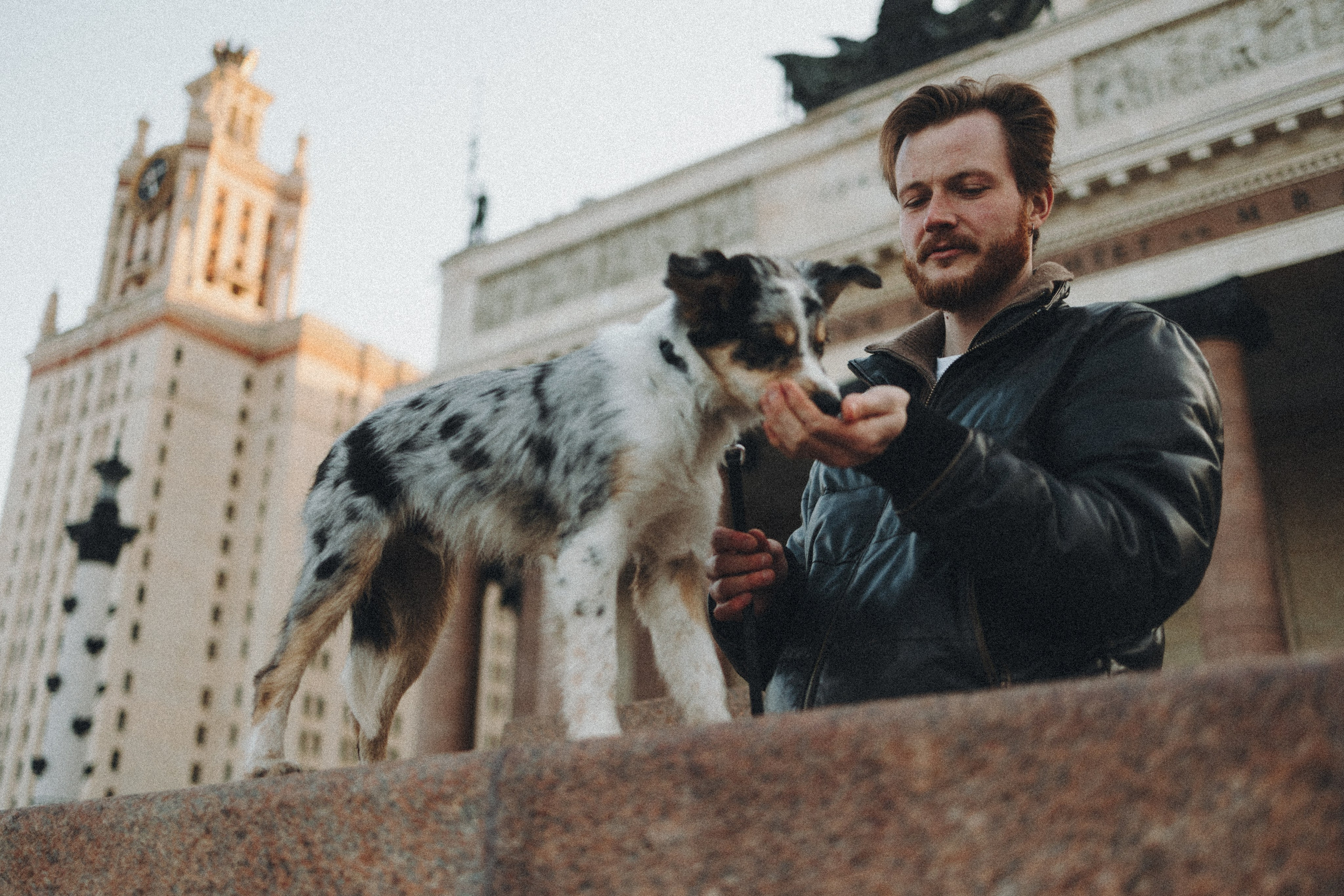 Балу и Илья. Фотограф анималист Анастасия Пикей