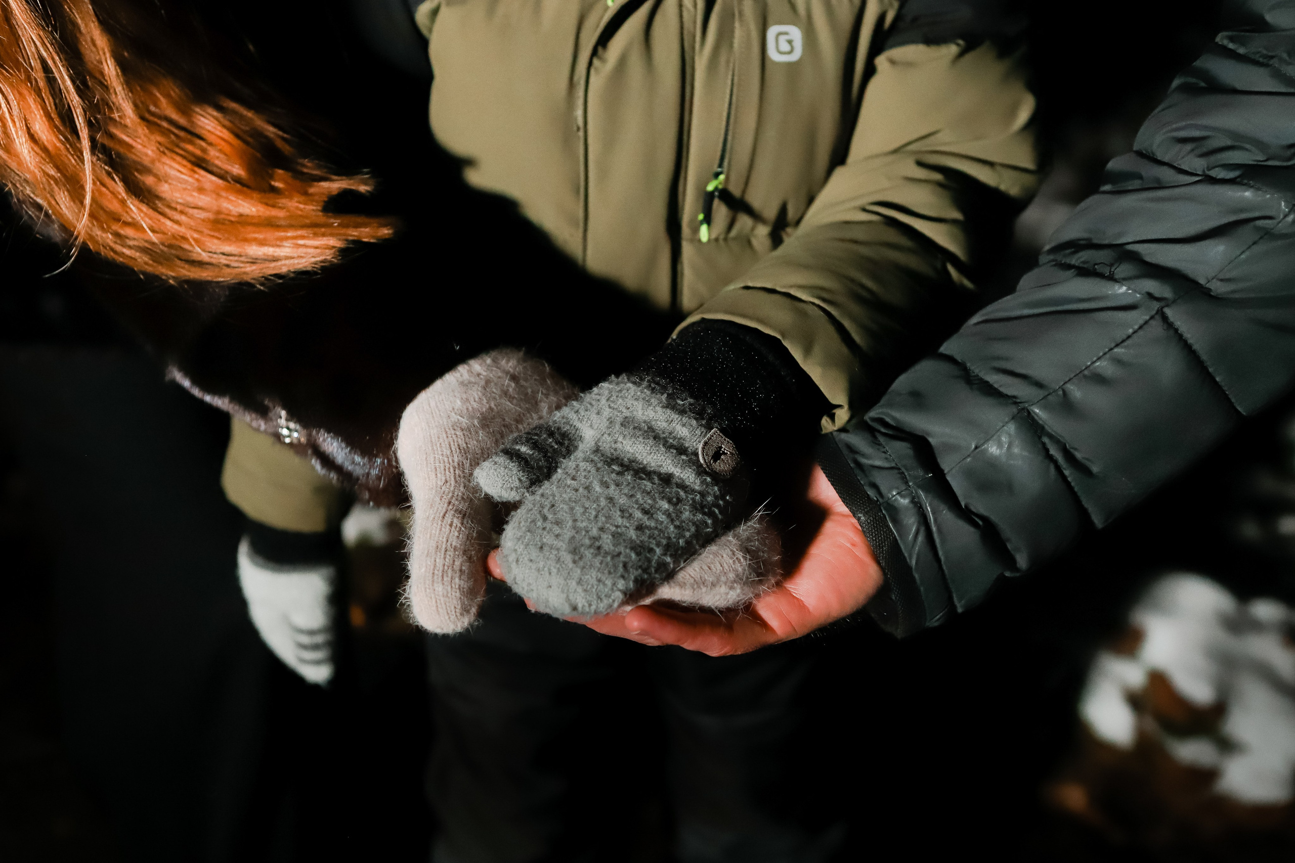 Прогулка ПАРК ЛОГА. Свадебный фотограф Евгения Фролова г. Каменск-Шахтинский, Донецк, Ростов
