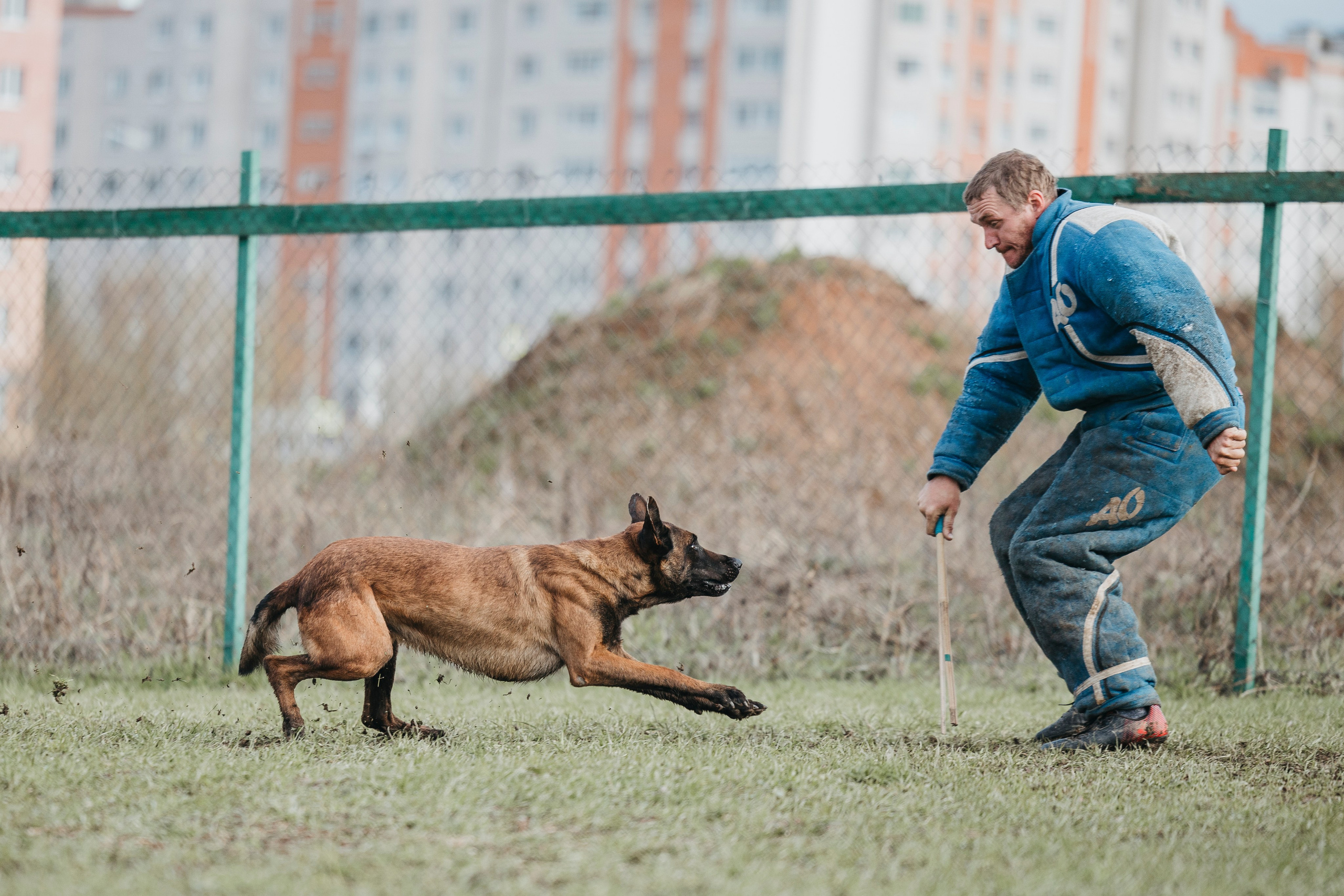 09.05.25 Вологда соревнования. Фотограф-анималист Анна Маринич