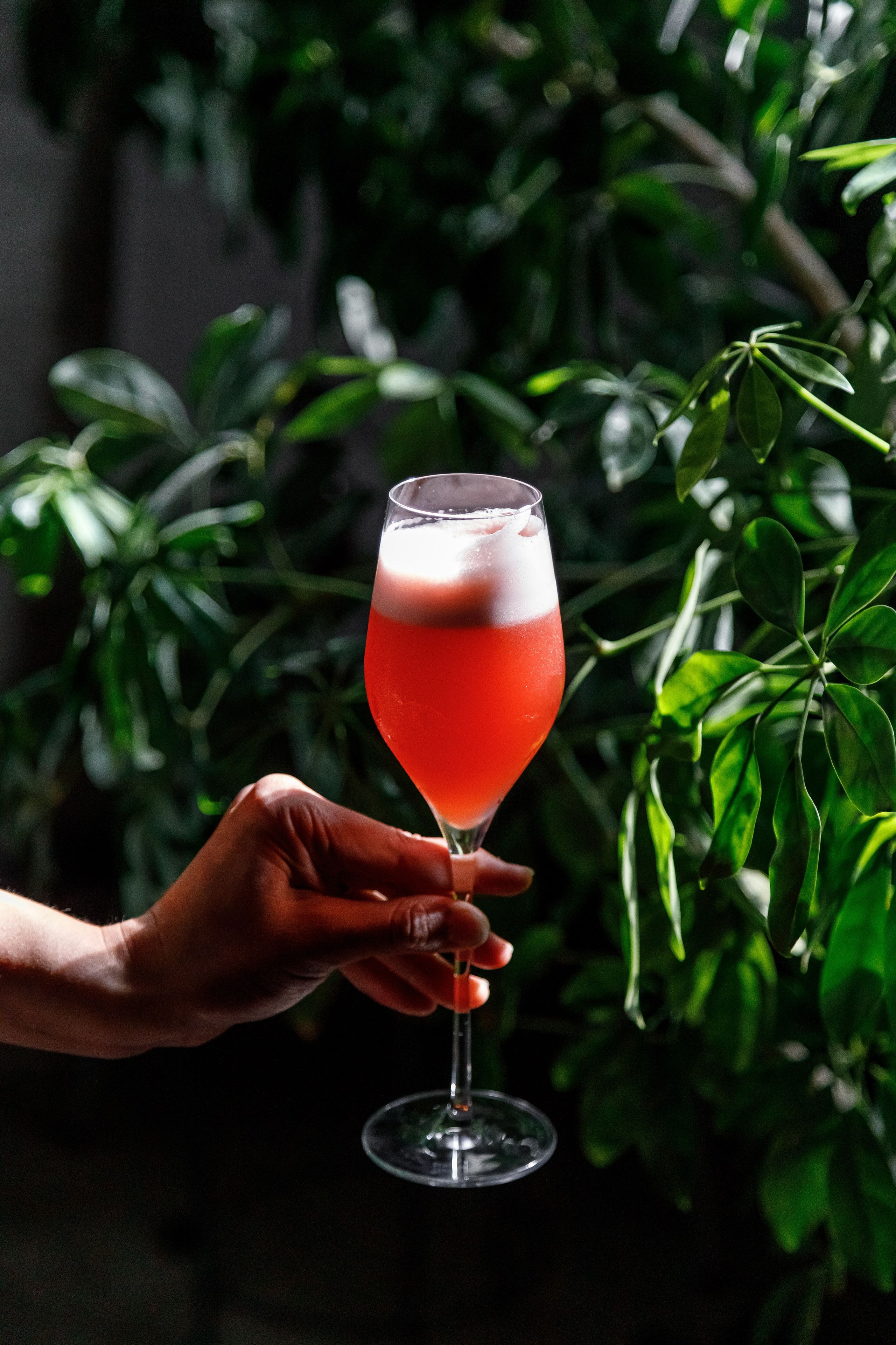 Напитки. Фотограф в Москве Базанова Дарья