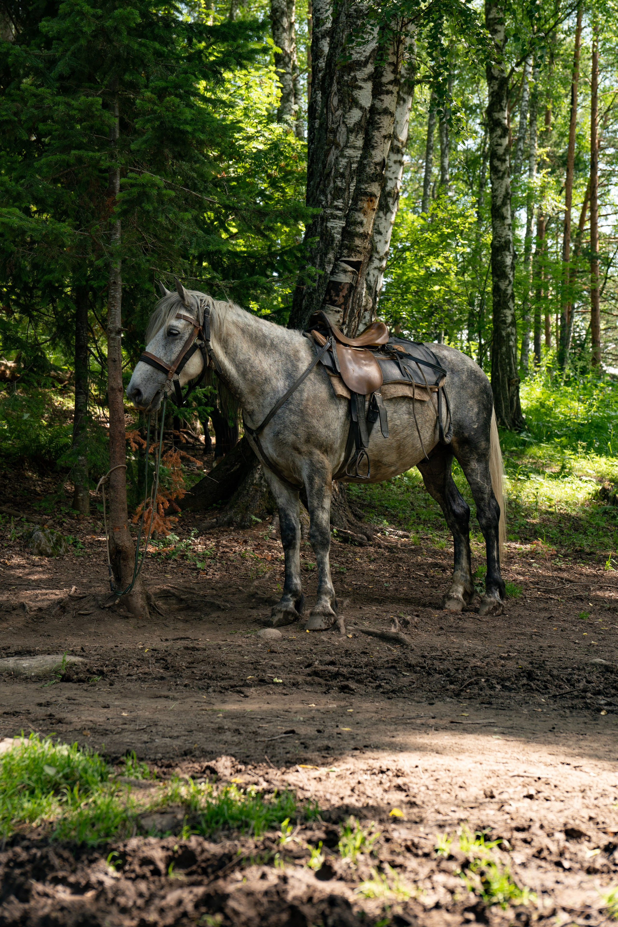 Алтай. Gusarov Travel Photography
