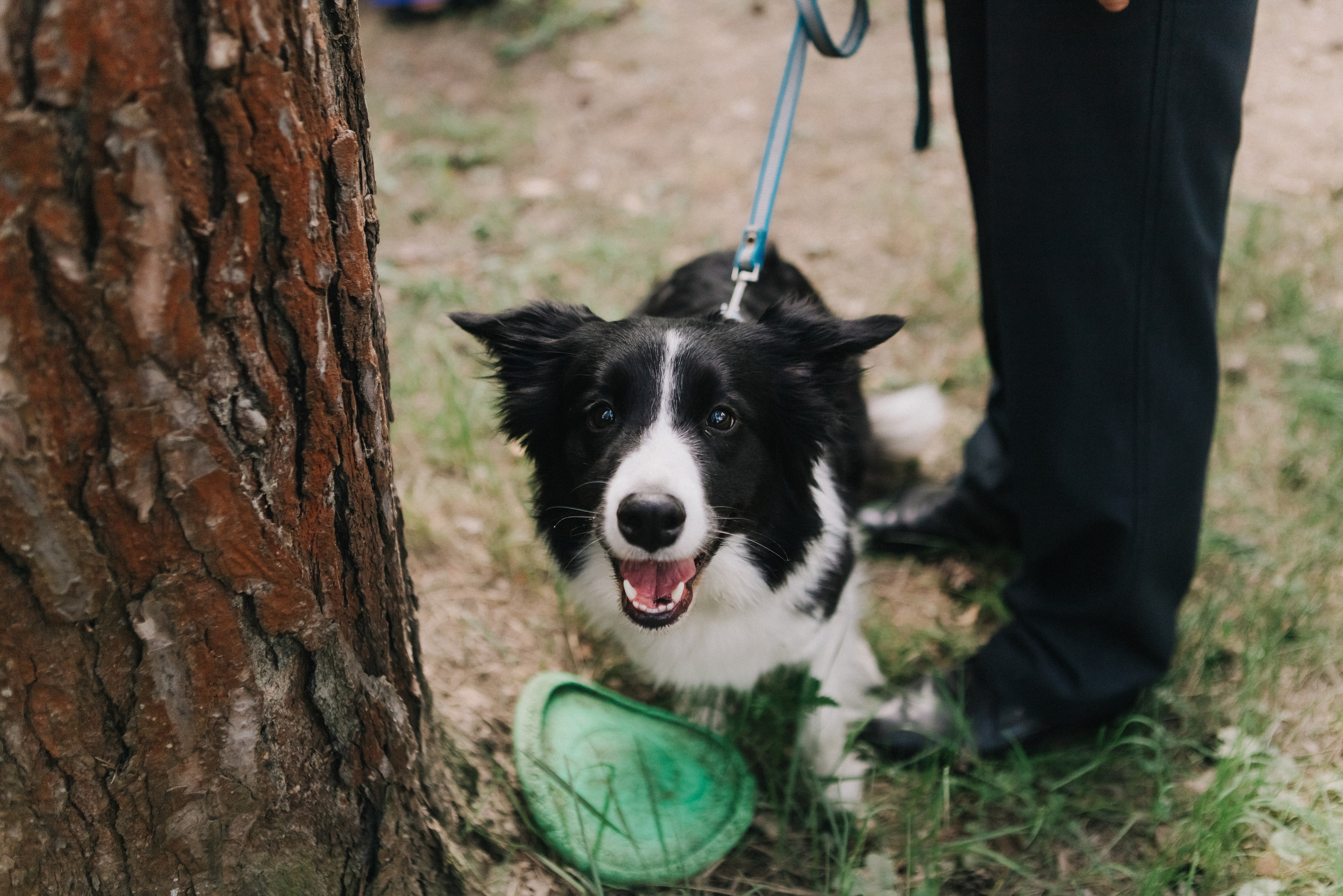 Ная и Артем. Свадебное фото и видео Москва Кристина Музыка