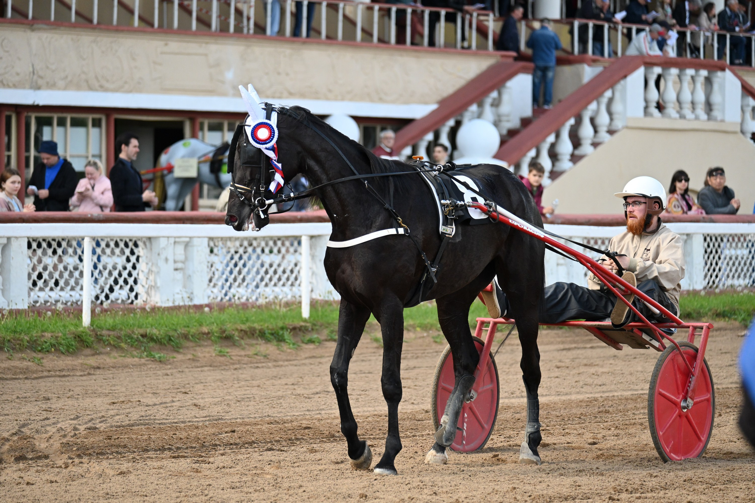 Московский ипподром. Fotolux