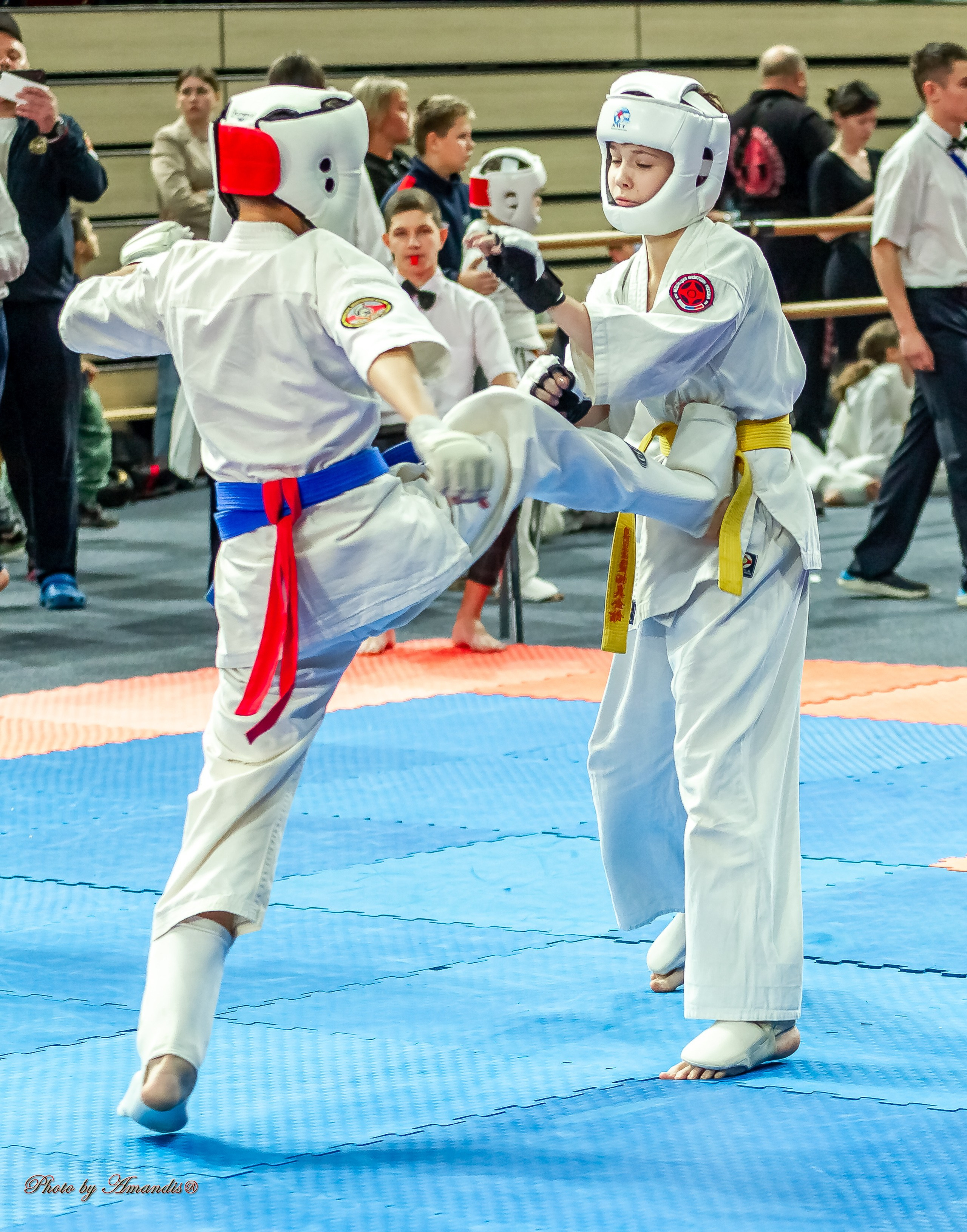 Первенство Московской области по Киокушин в СК «Жаворонки». Репортажная съемка в Москве и области. Анималистика