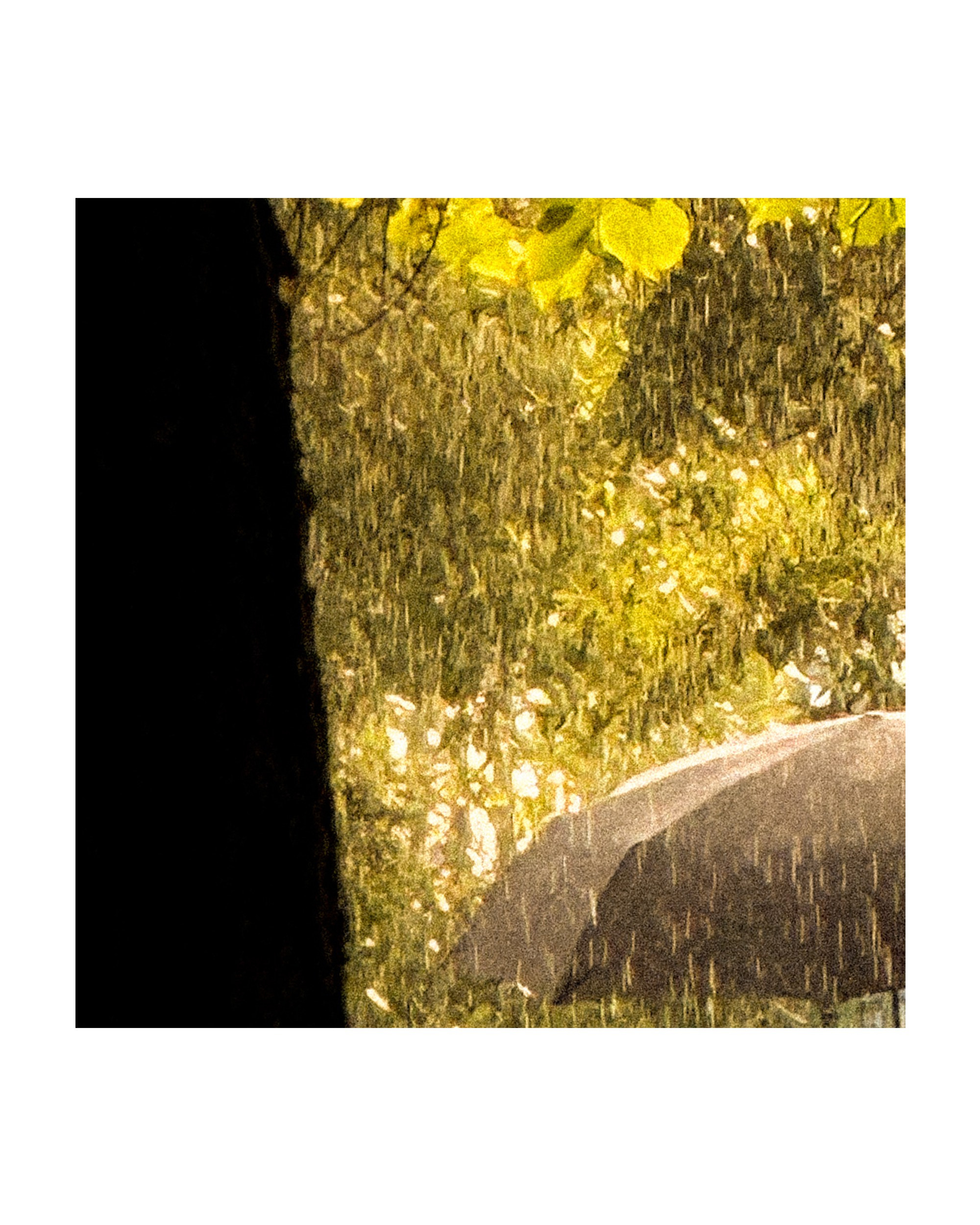 Mobile street art. Портретный фотограф в Москве