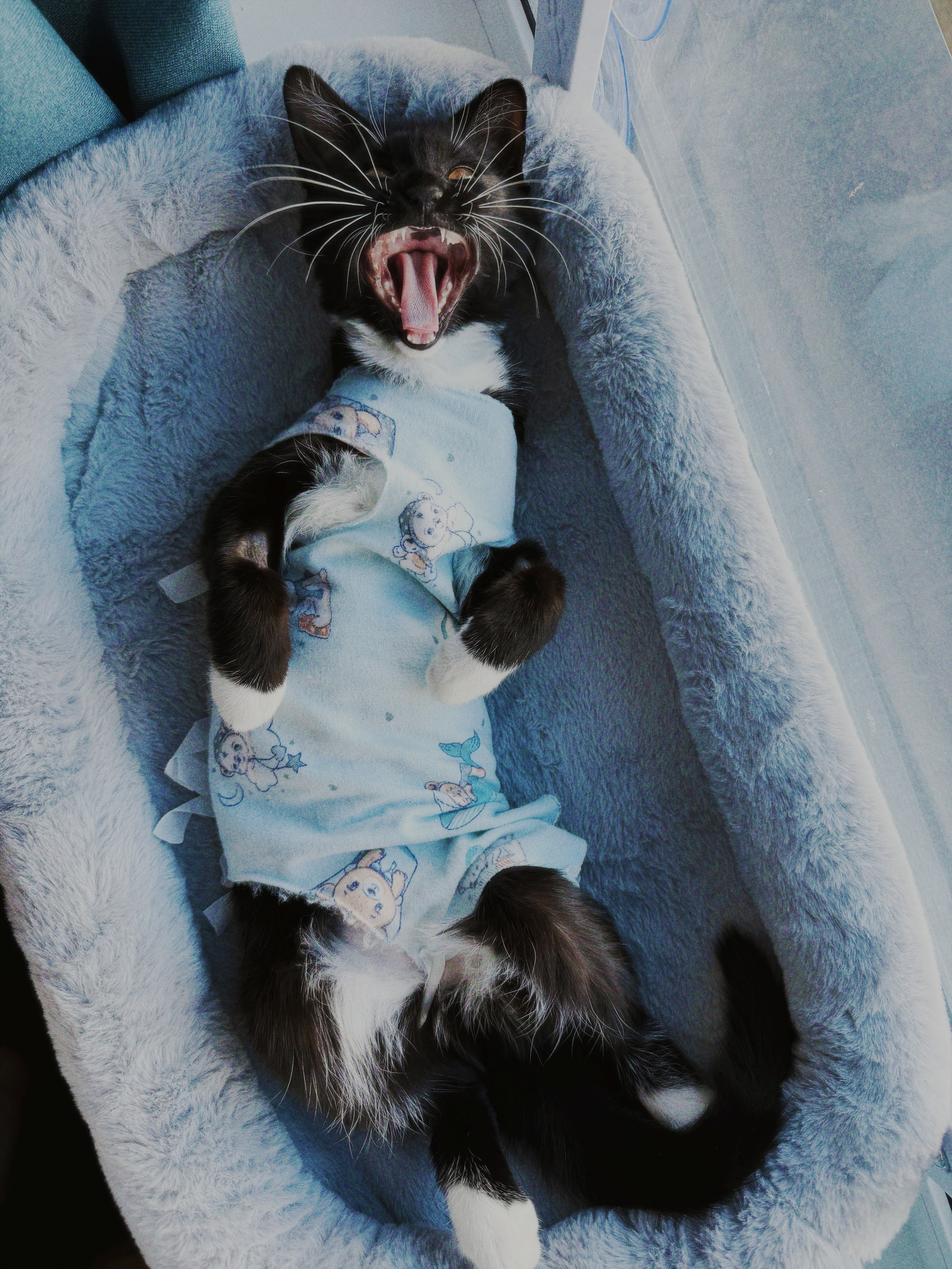 Визуальный дневник. Портретный фотограф в Москве Гахраманова Екатерина