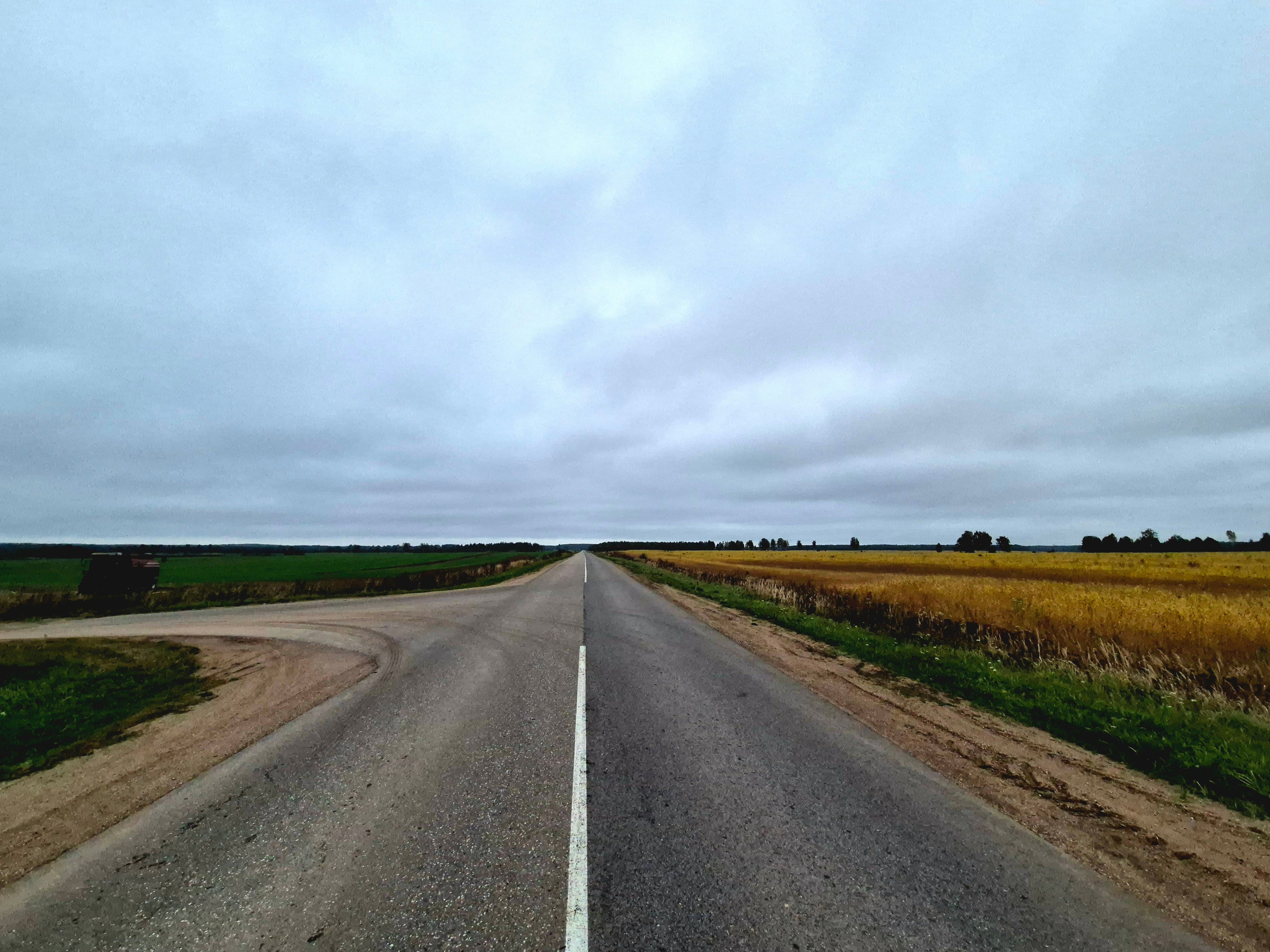 Осенняя природа, может не такая яркая, как летняя. Но такая уютная