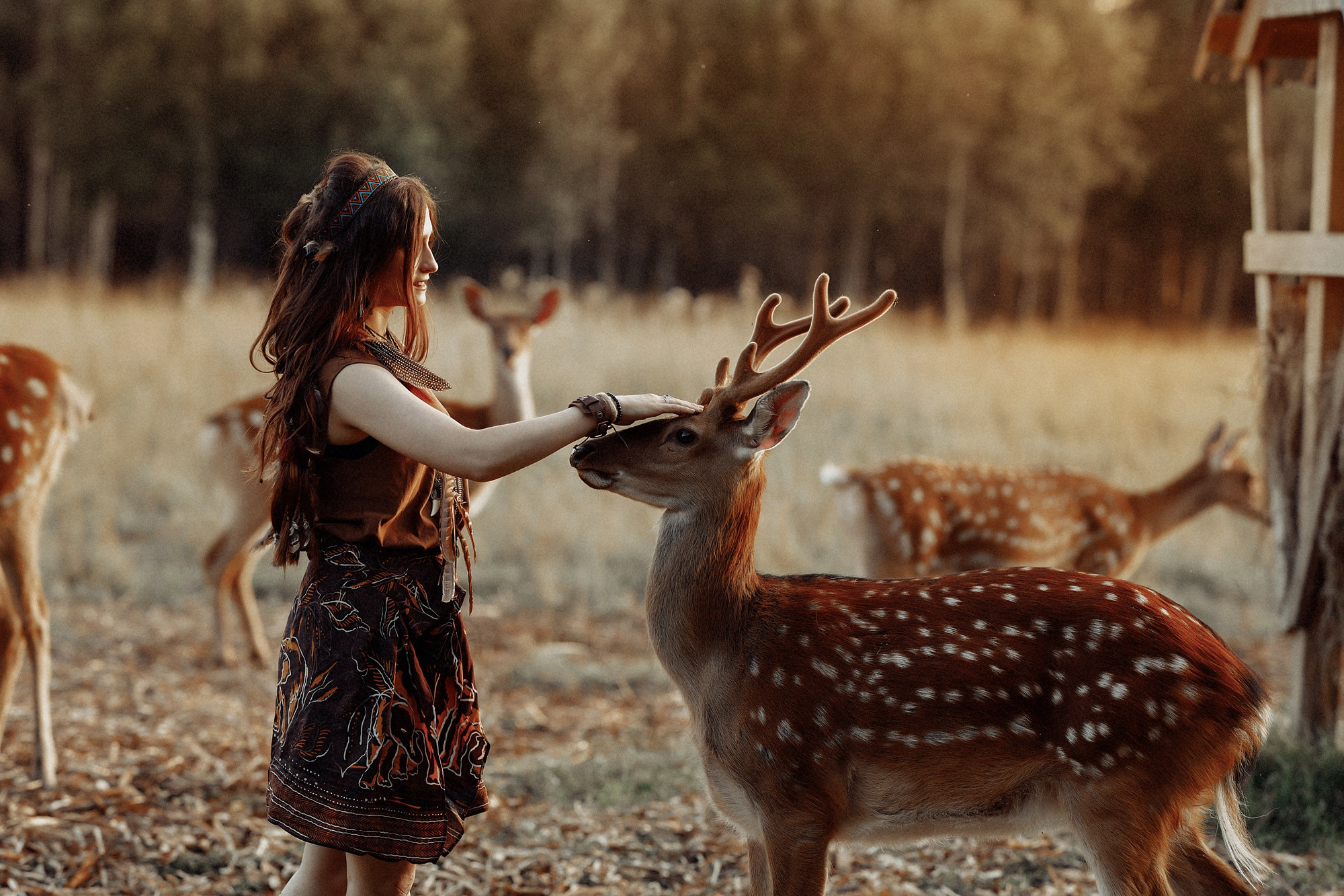 Фэнтези. Каплицкая Любовь — фотограф Тверь