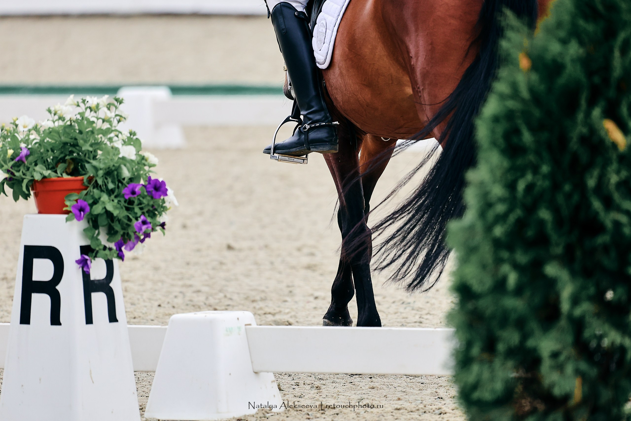 Евразийские игры по выездке, Maxima Stables. Репортажный фотограф и ретушер в Москве Наталья Алексеева